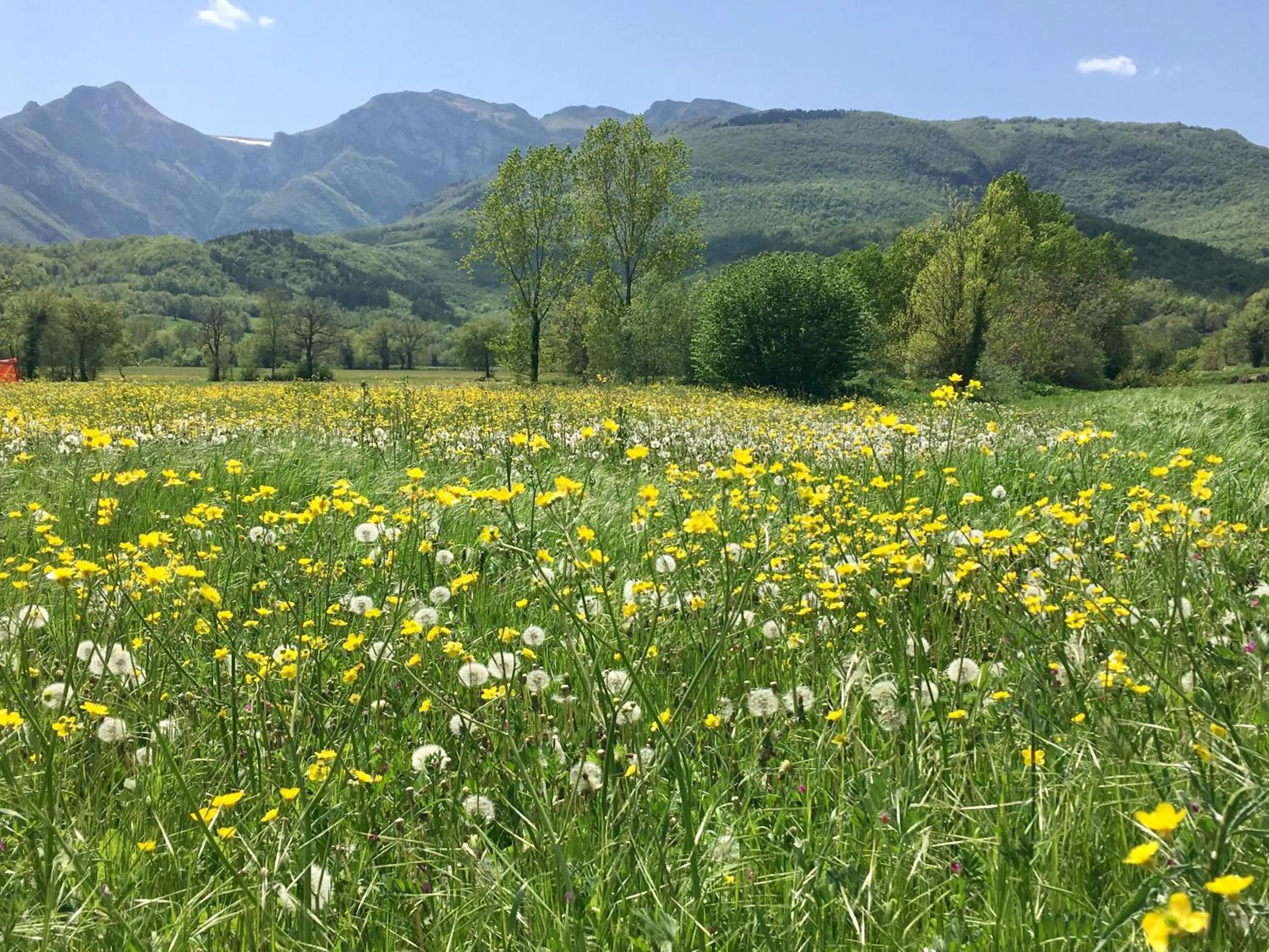 Natural landscape in Il Nascondiglio - The Hideaway
