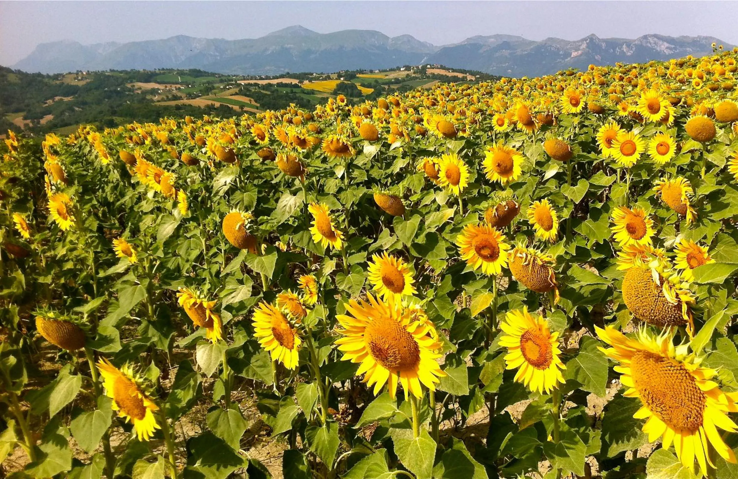 Natural landscape in Il Nascondiglio - The Hideaway