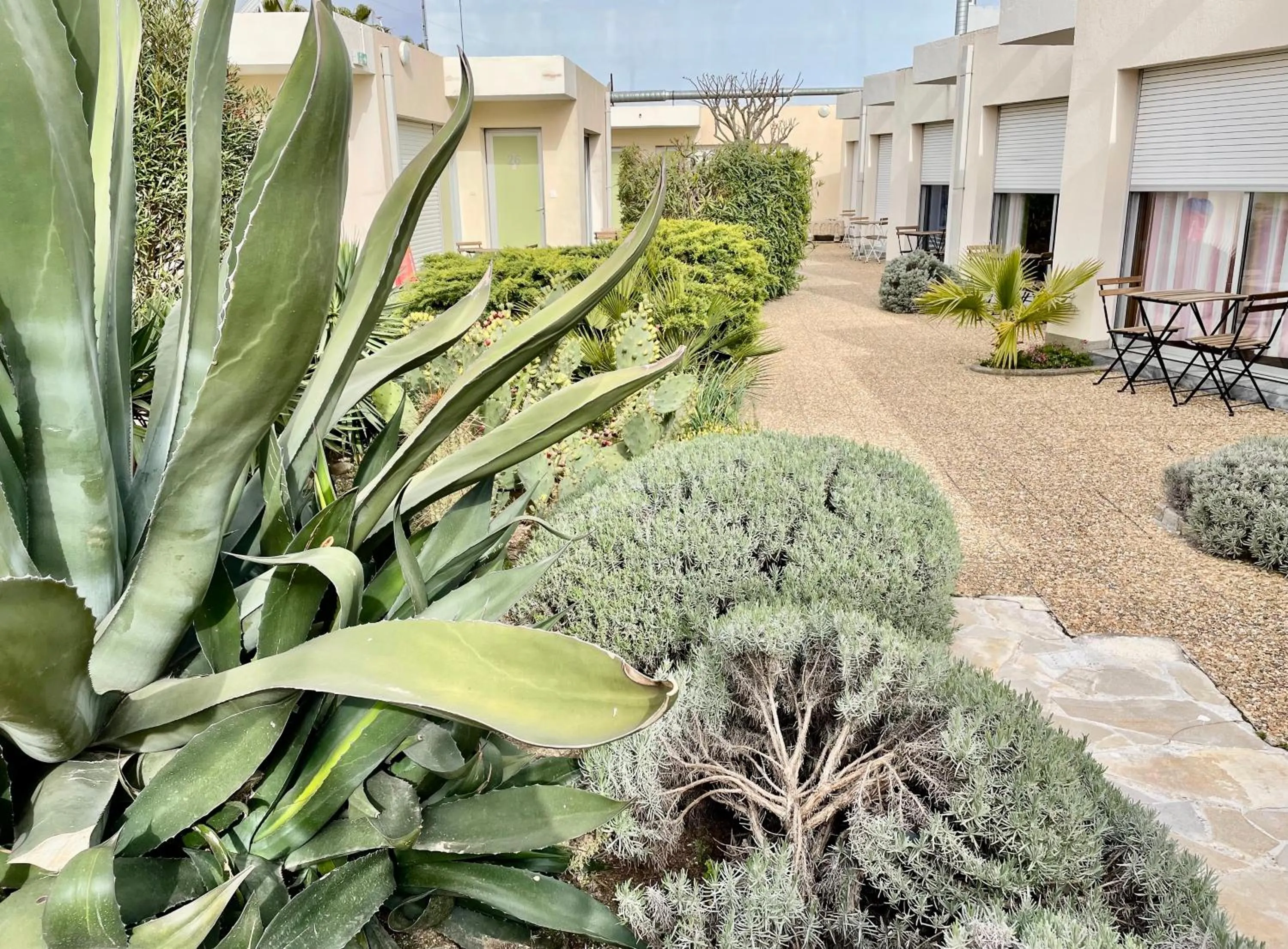 Garden in Hotel AMERIQUE