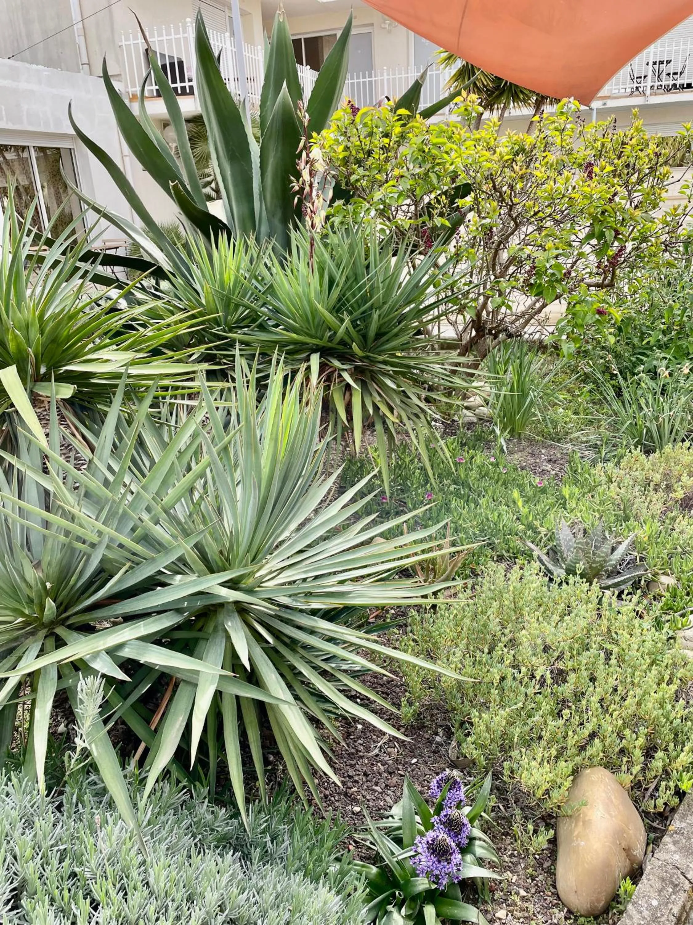 Property building in Hotel AMERIQUE