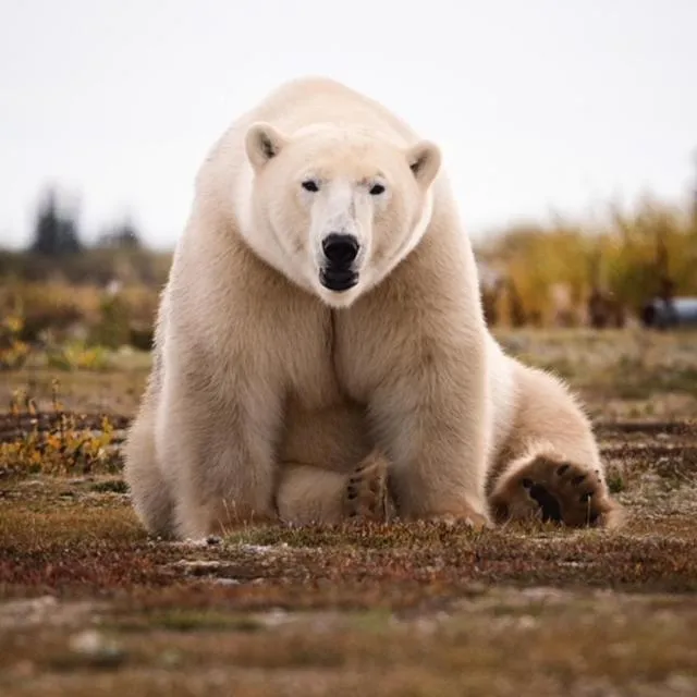 Bears Den Guest House