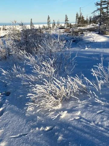 Bears Den Guest House