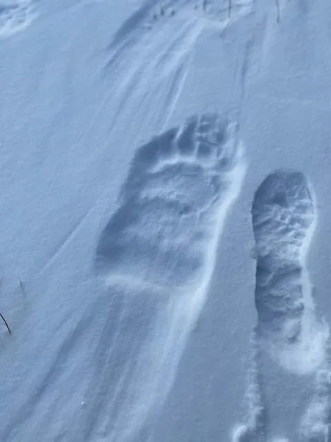 Bears Den Guest House