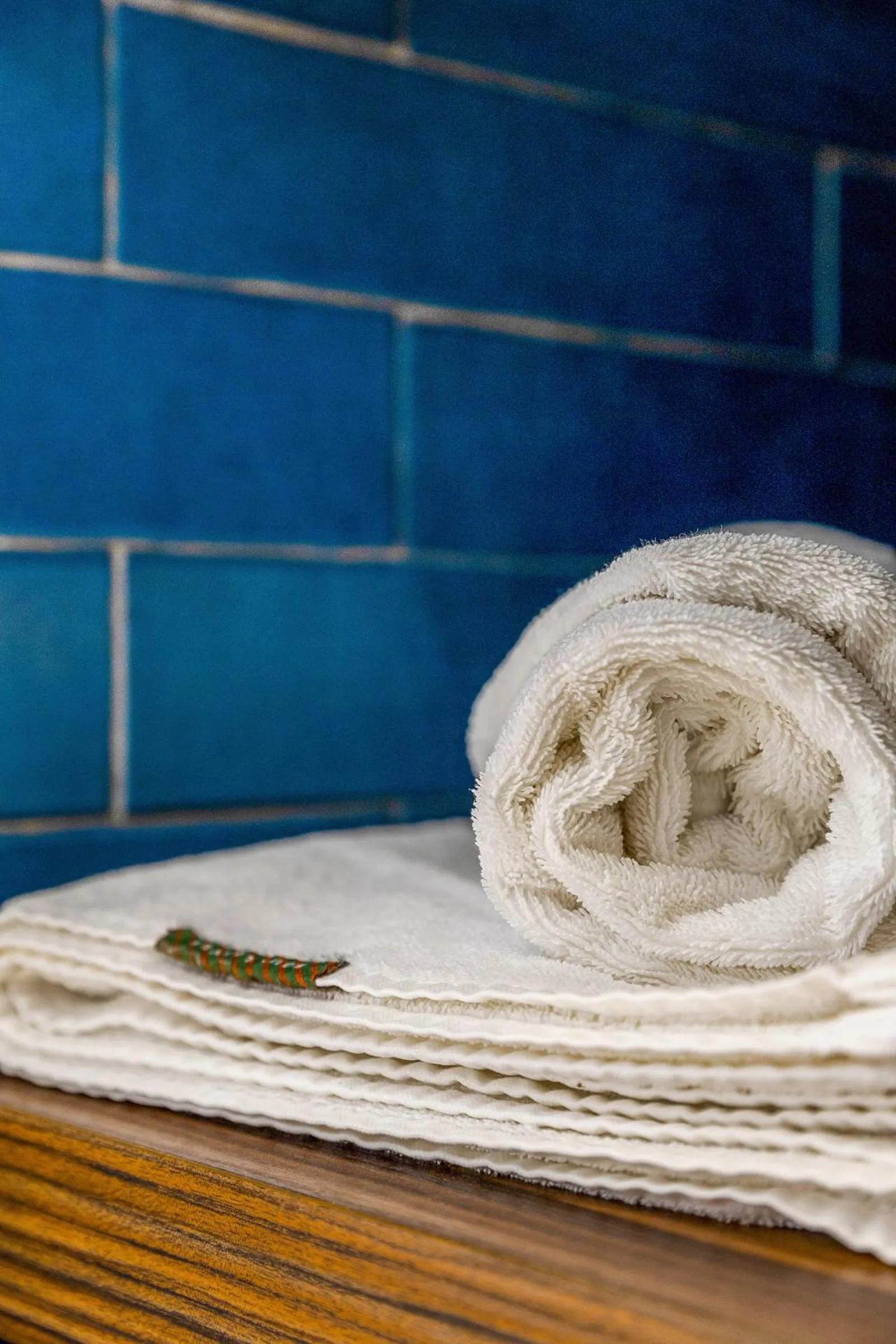 SENSES Boutique Hotel & Apartments