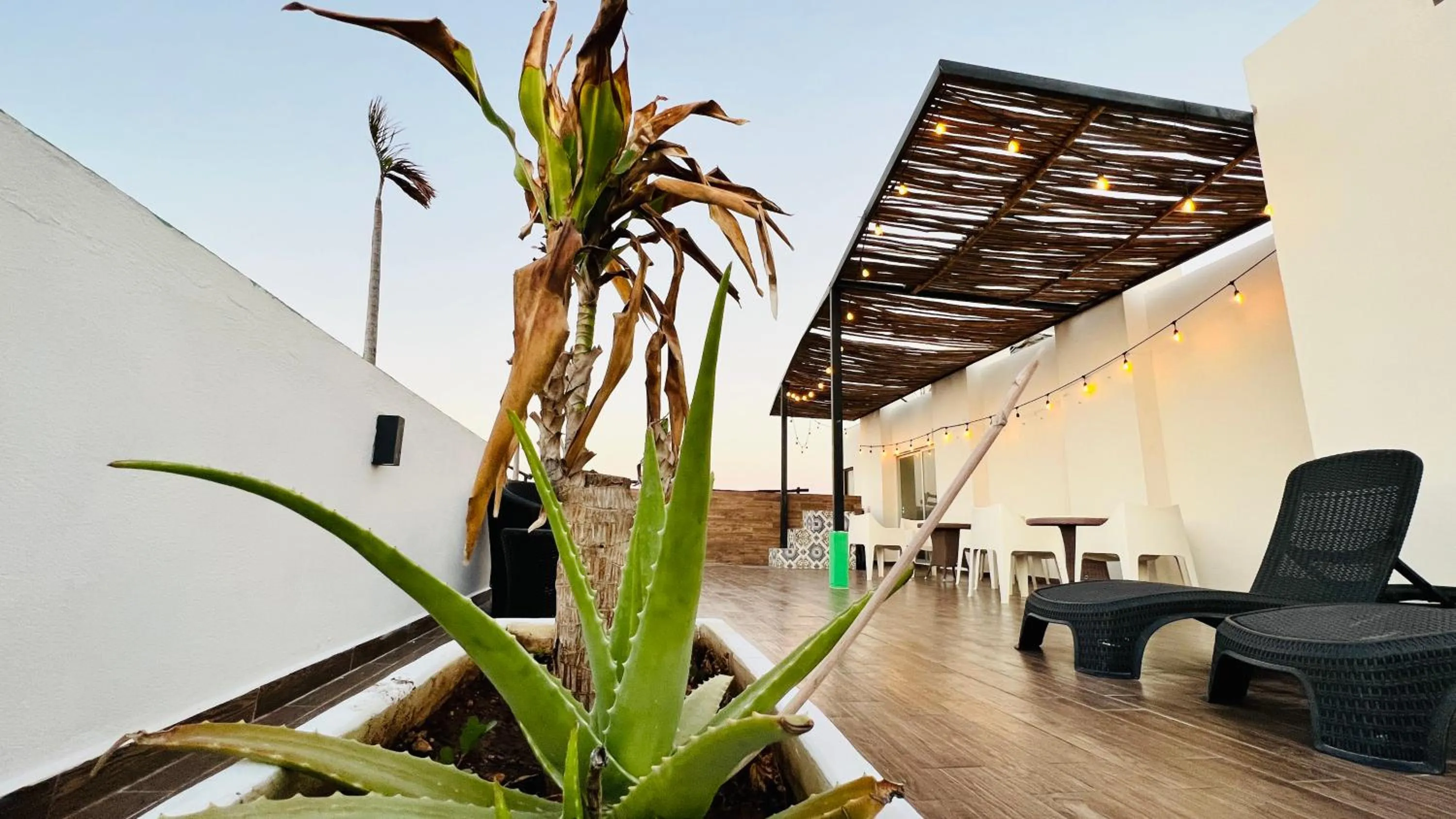 Balcony/Terrace in Hotel MAYARI Holbox