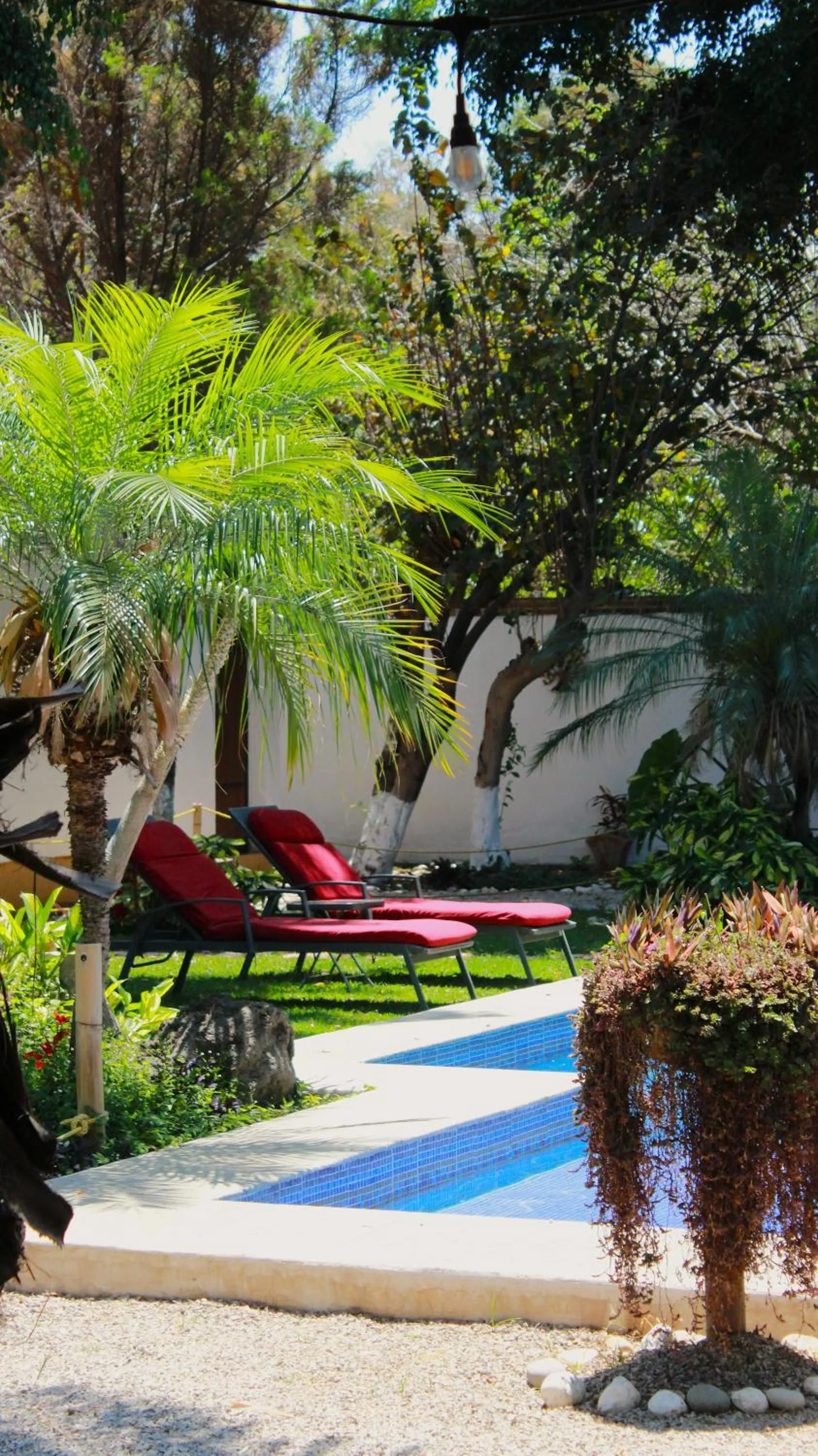 Swimming pool in Hotel Boutique Bacaanda