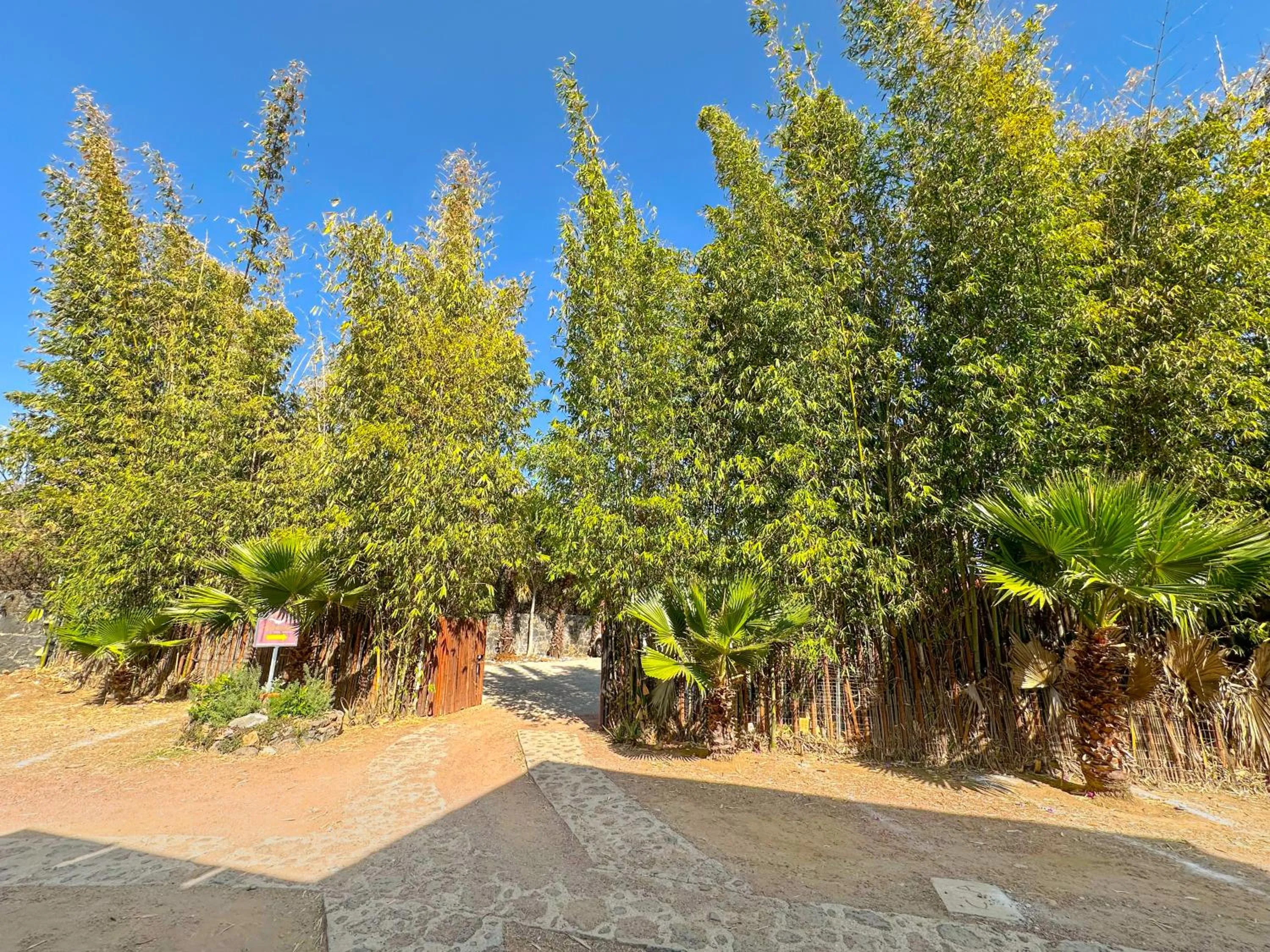 Hotel Boutique Bacaanda