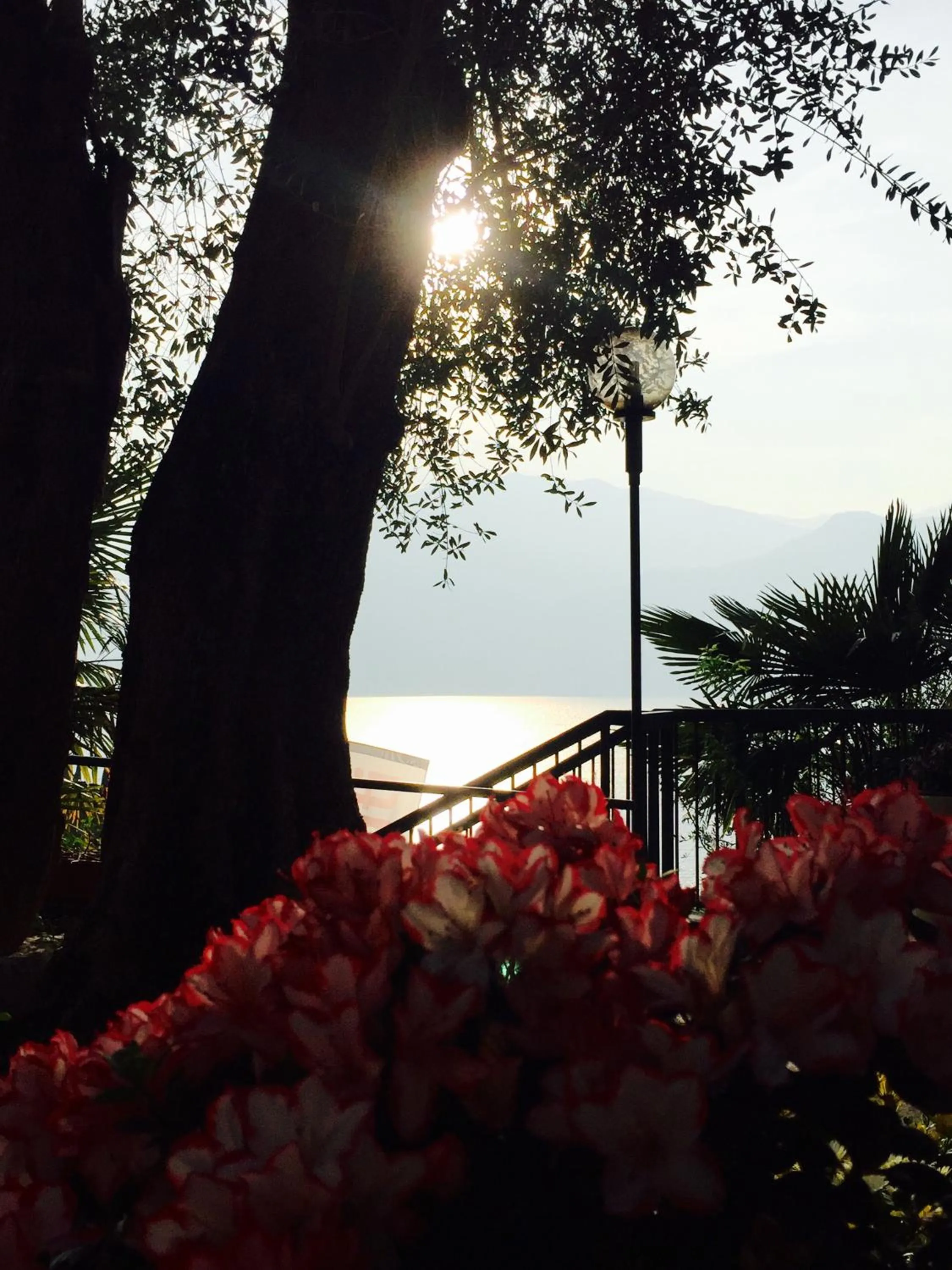 Sunset in Villa Emma Malcesine