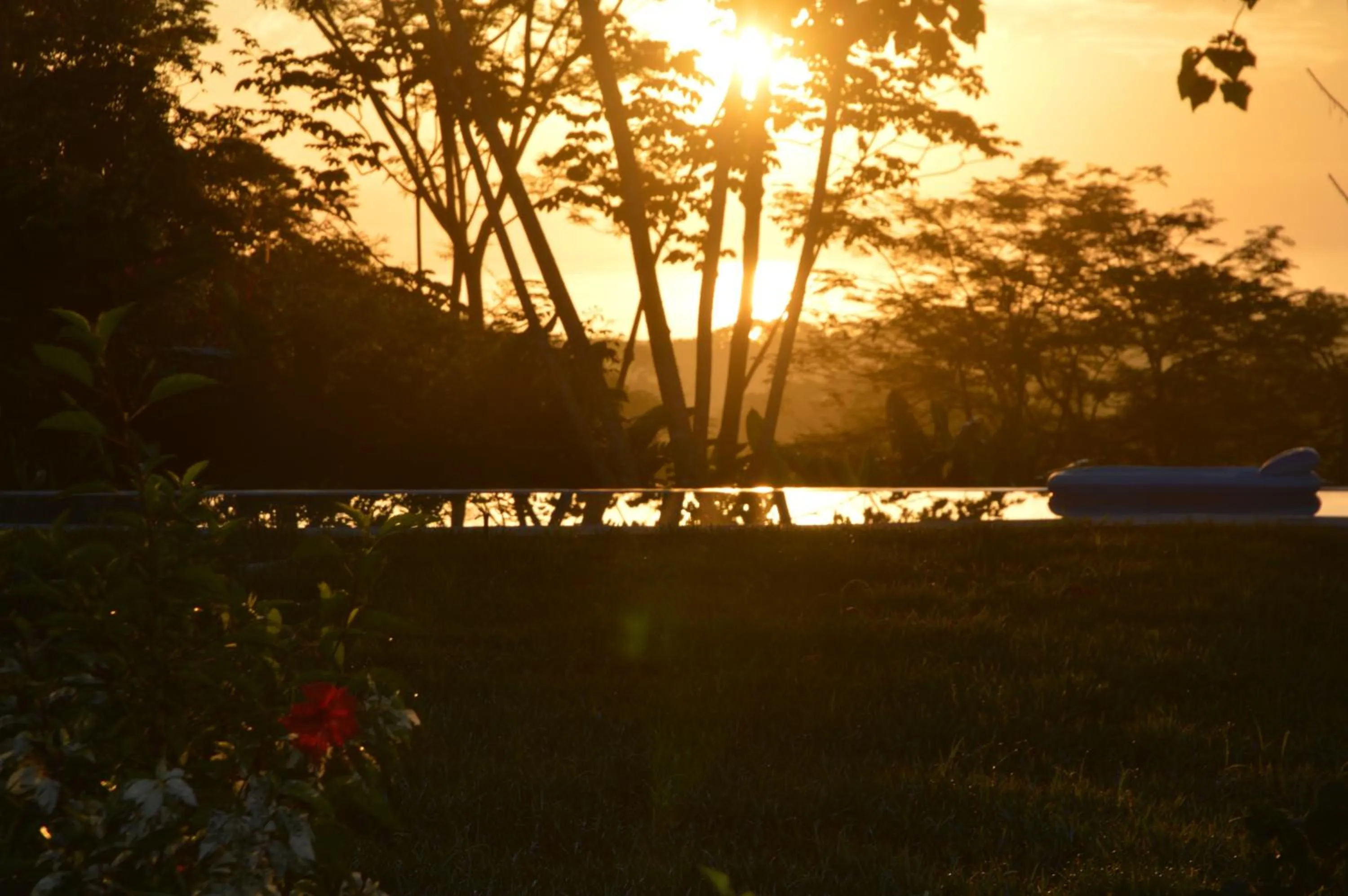 Natural landscape in Jungle Lodge at Wild Sun Rescue Center