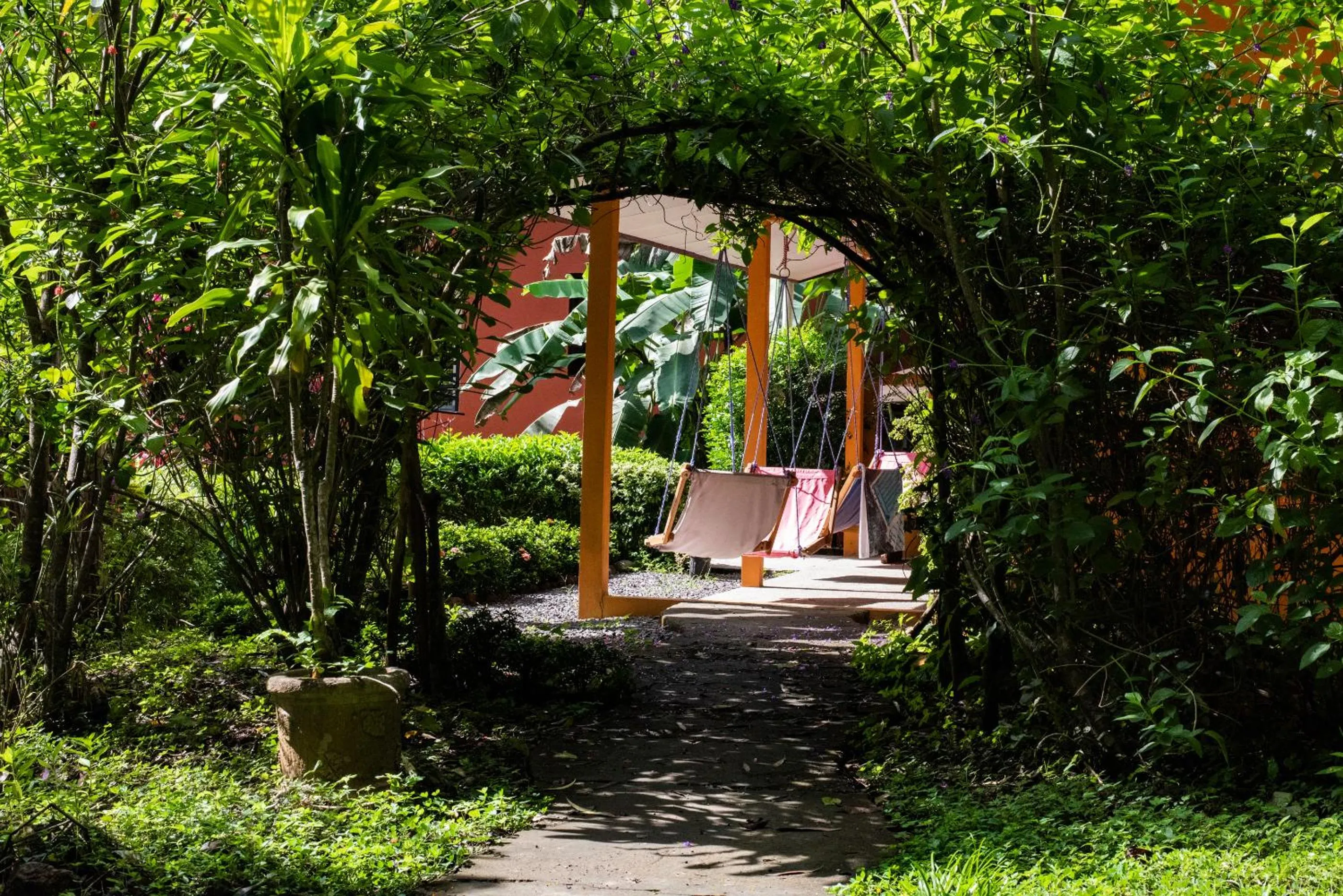 Property building in Jungle Lodge at Wild Sun Rescue Center