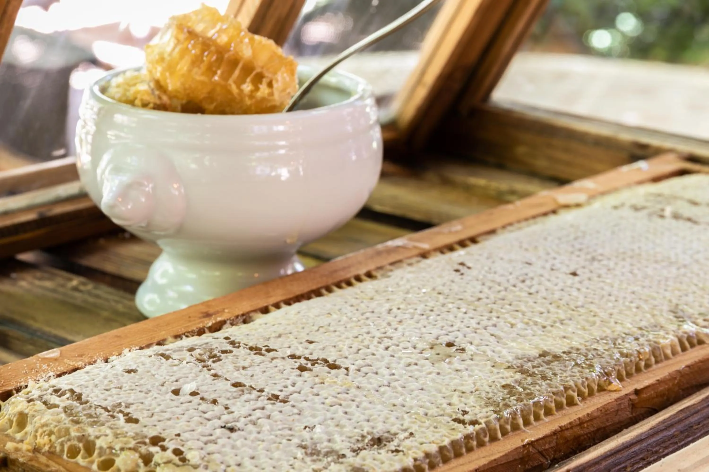 Food close-up in Hôtel Mireille