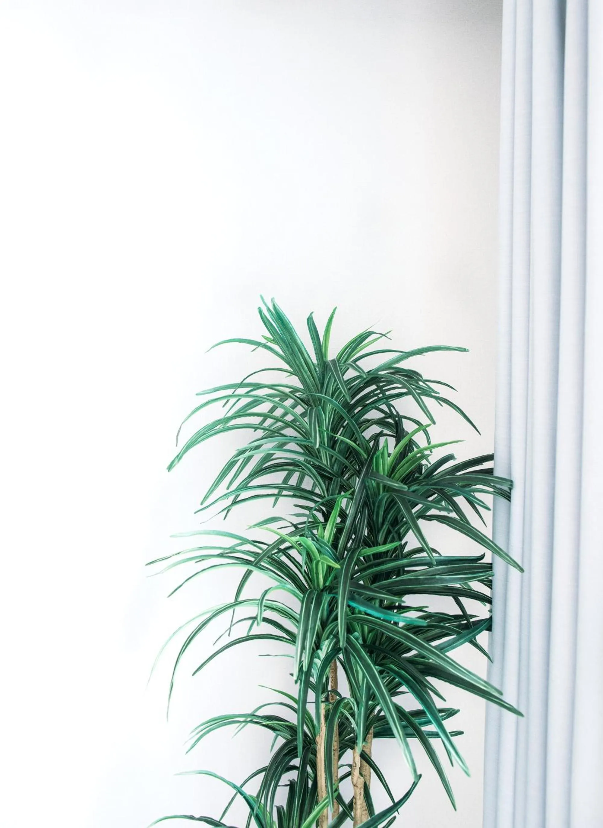 Decorative detail in Dash Living Nihonbashi