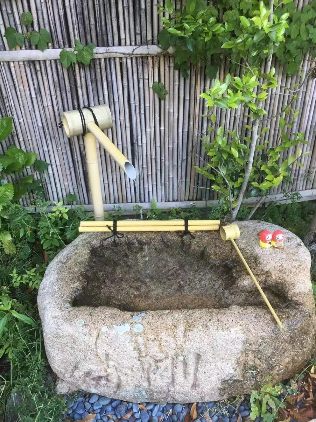 Area and facilities in Waseido Zen