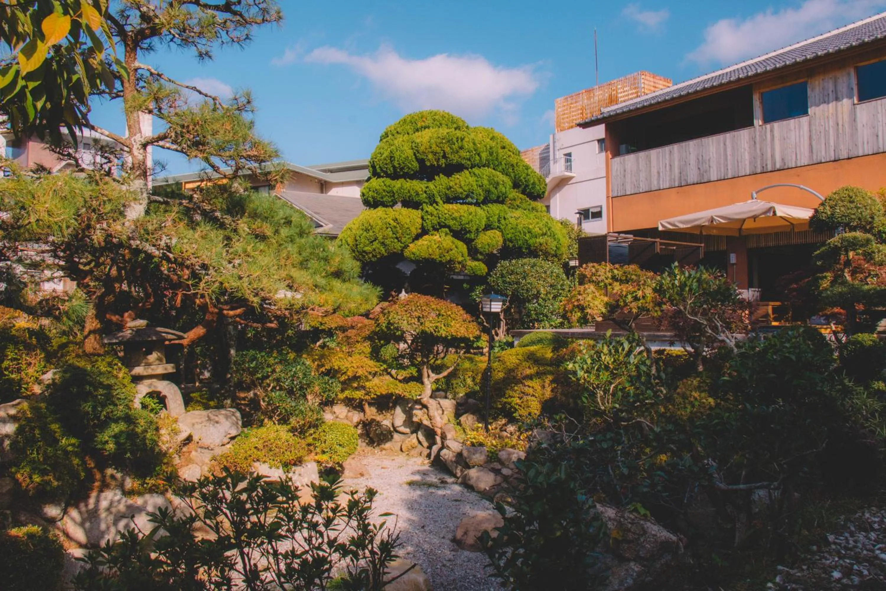 Garden in Waseido Zen