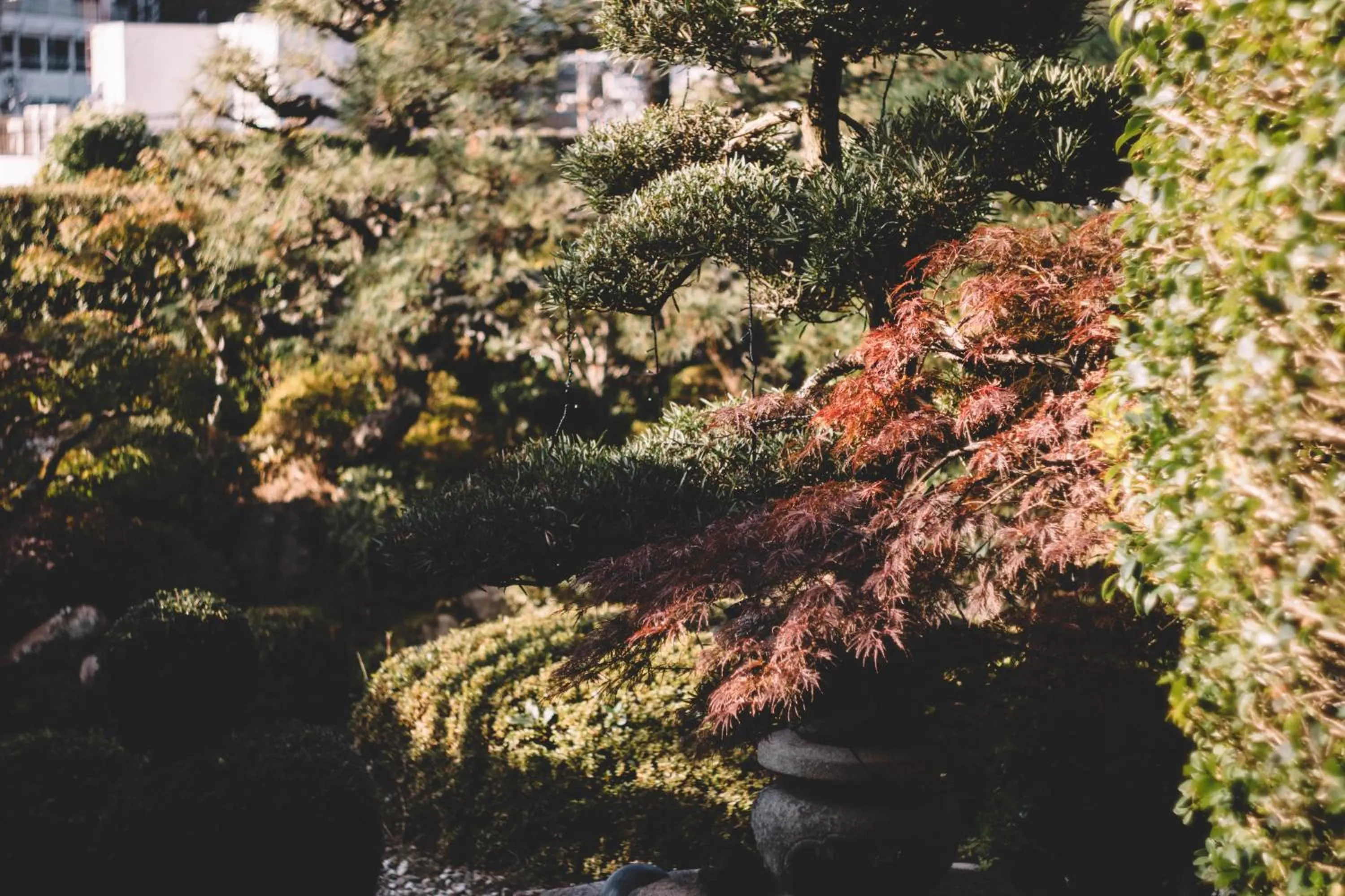 Garden in Waseido Zen