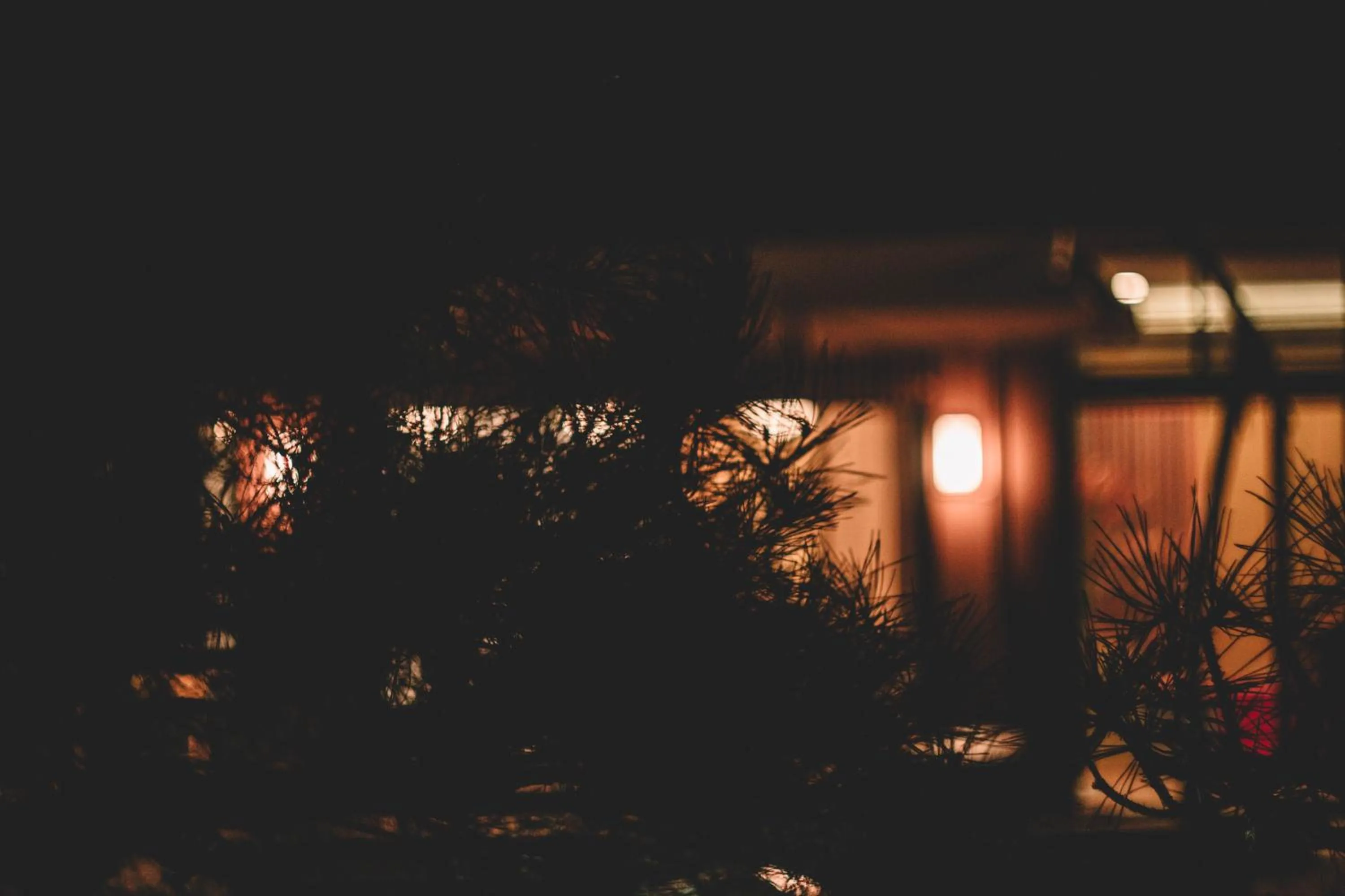 Garden in Waseido Zen