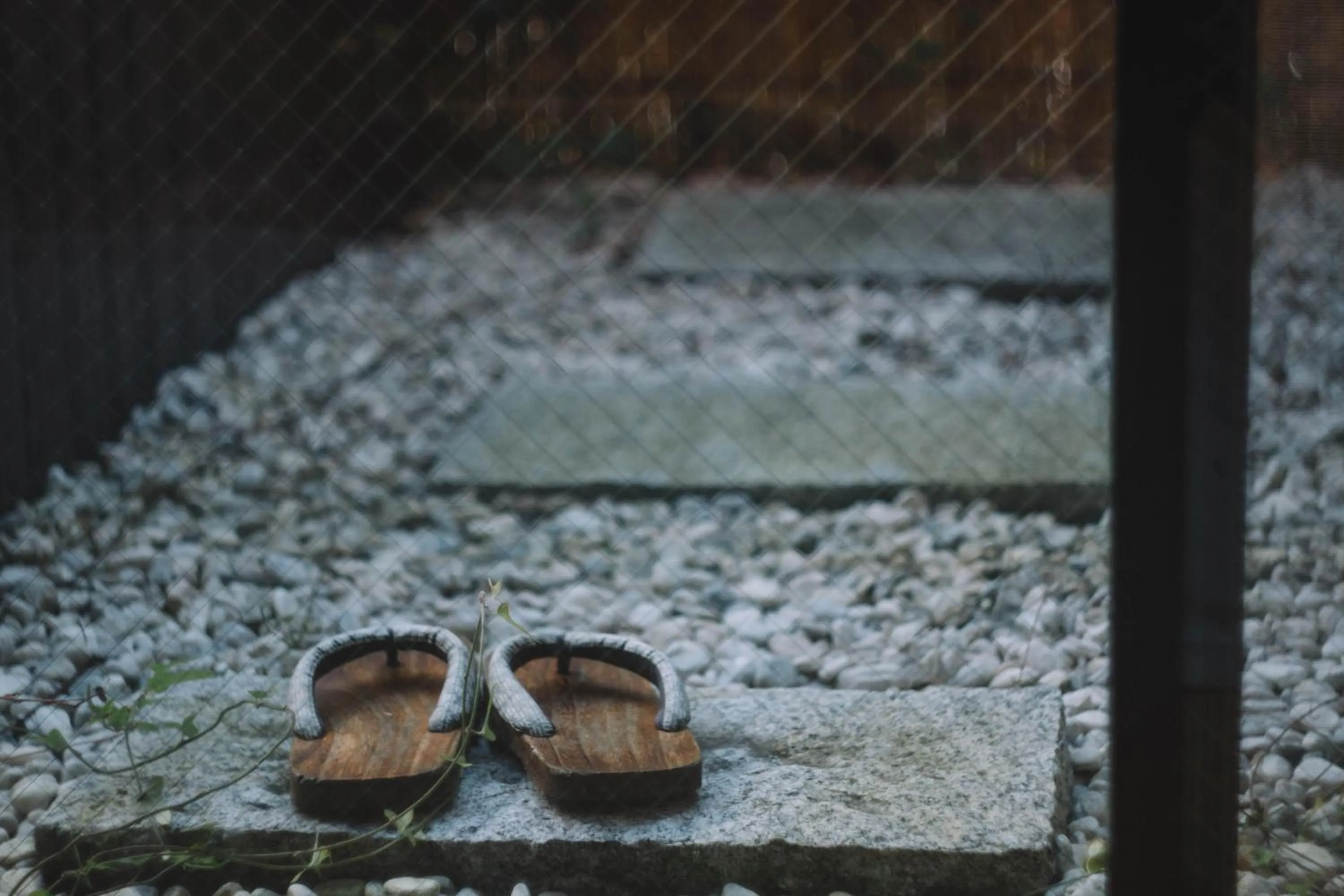 Area and facilities in Waseido Zen