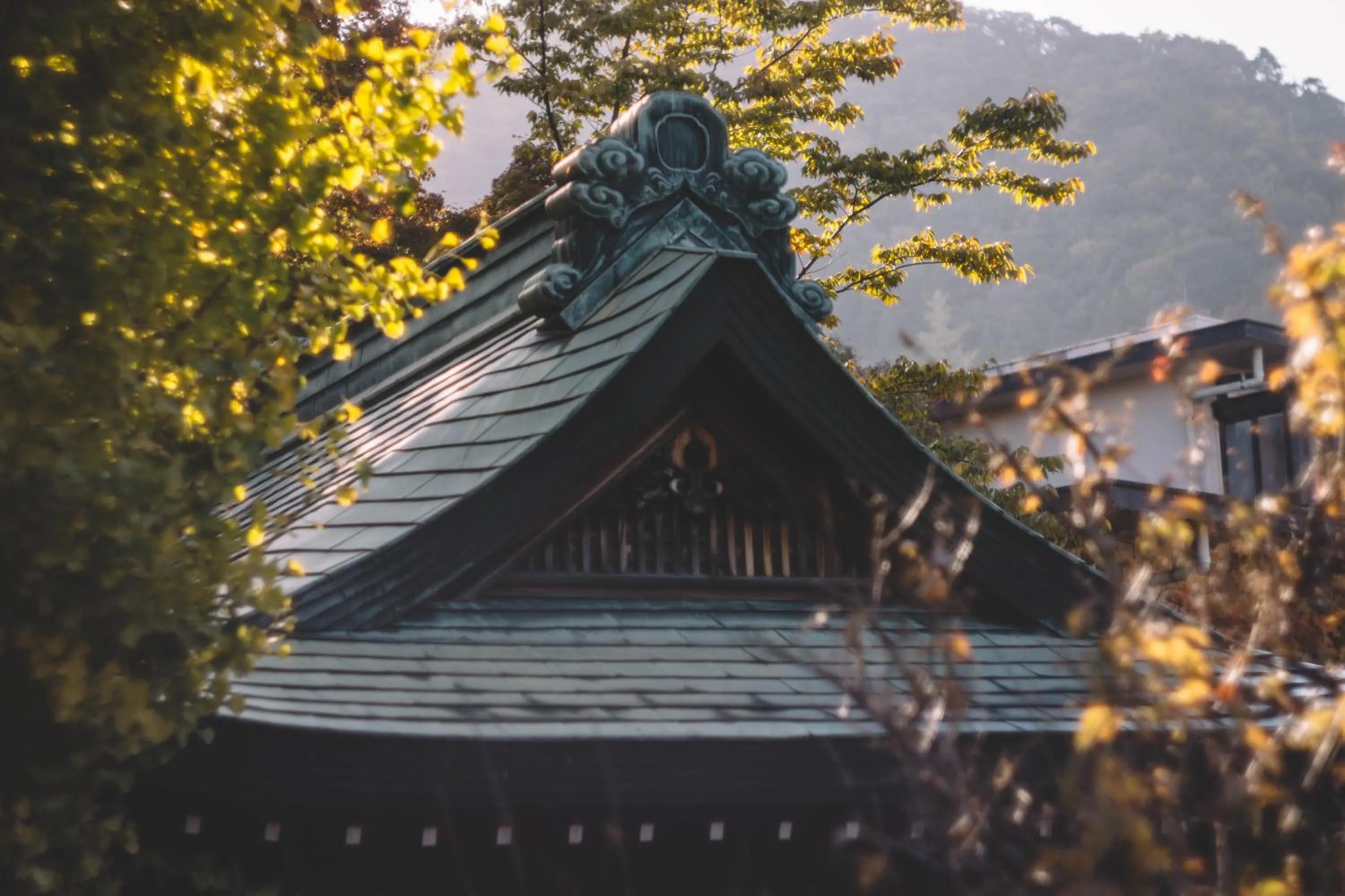 Area and facilities in Waseido Zen