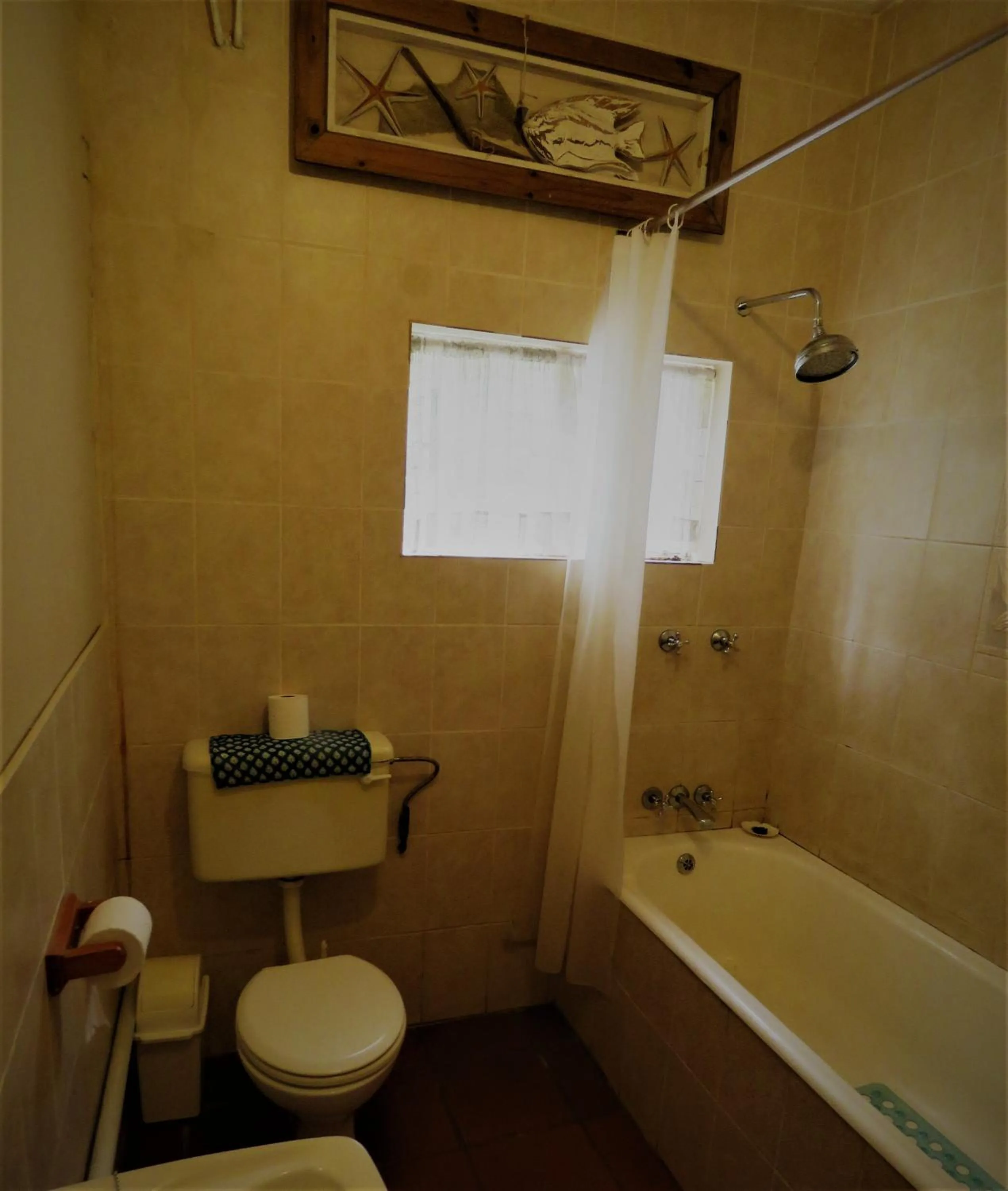 Toilet in Fountain Baths Guest Cottages