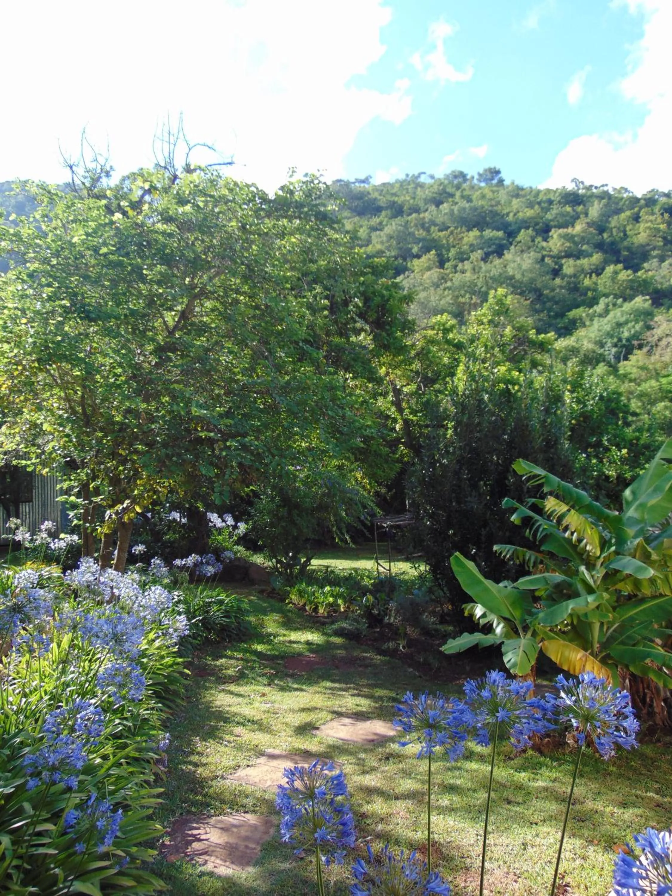Garden in Fountain Baths Guest Cottages