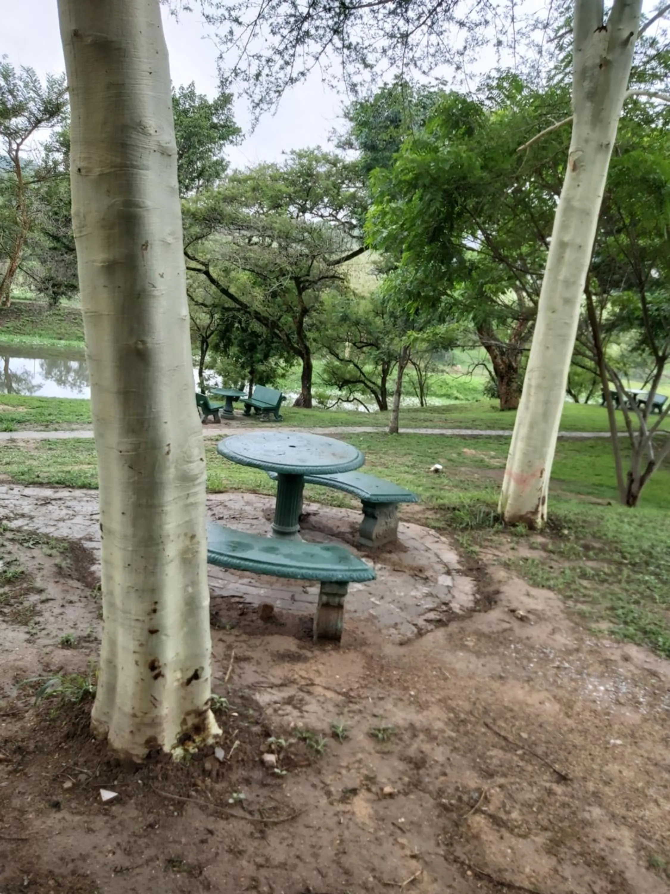 View (from property/room) in Rockview Lodge