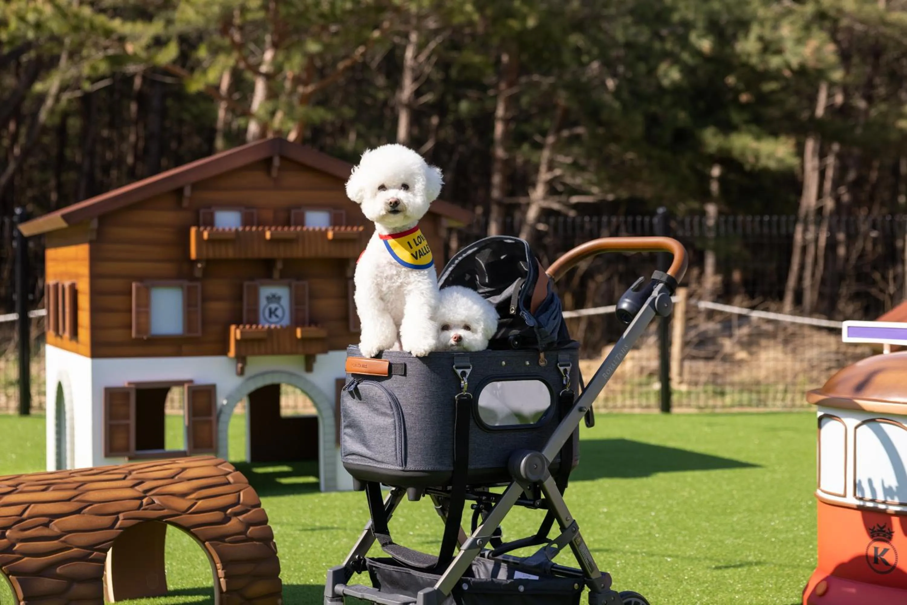 Pets in Kensington Resort Seorak Valley