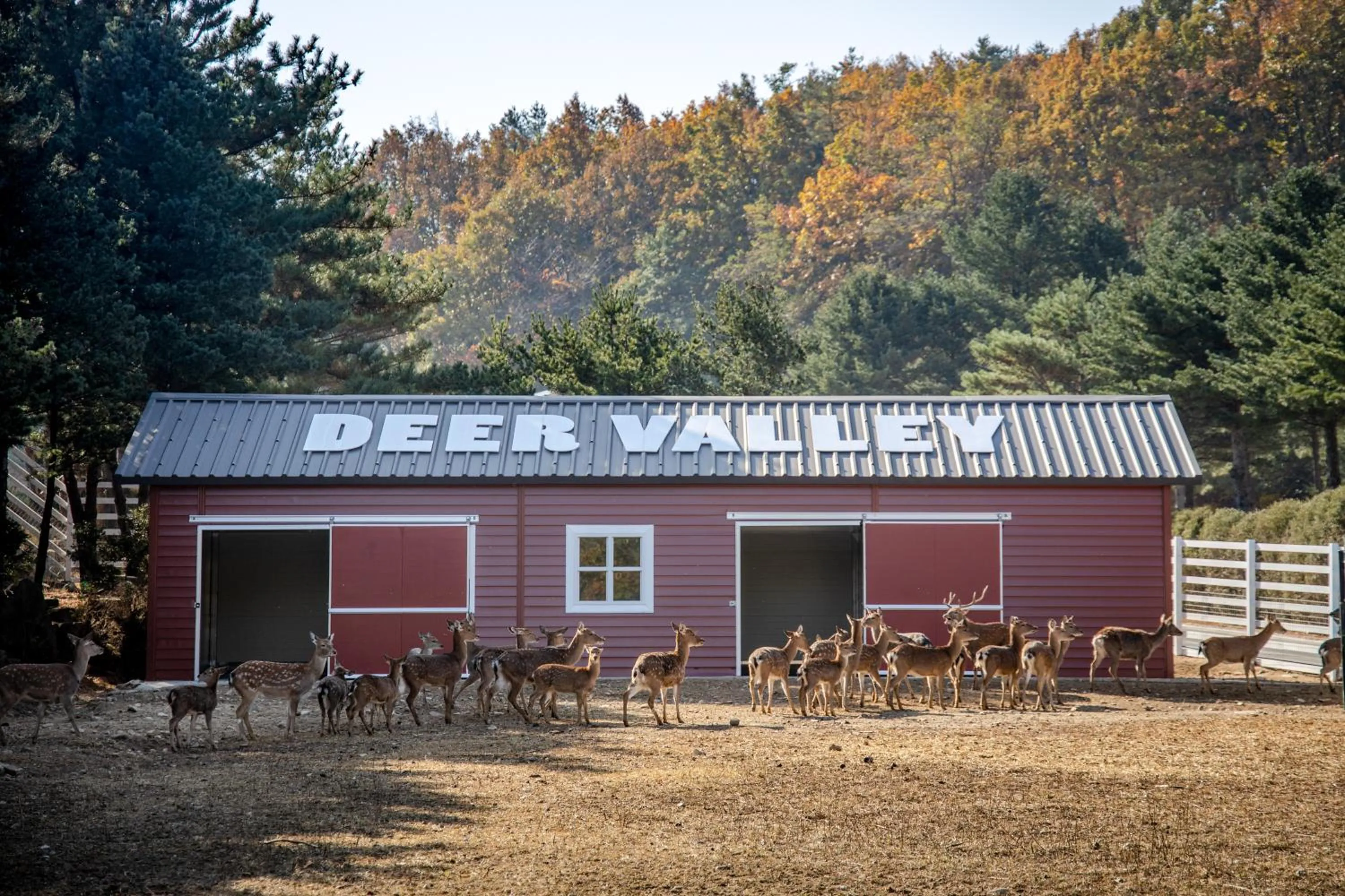 Natural landscape in Kensington Resort Seorak Valley