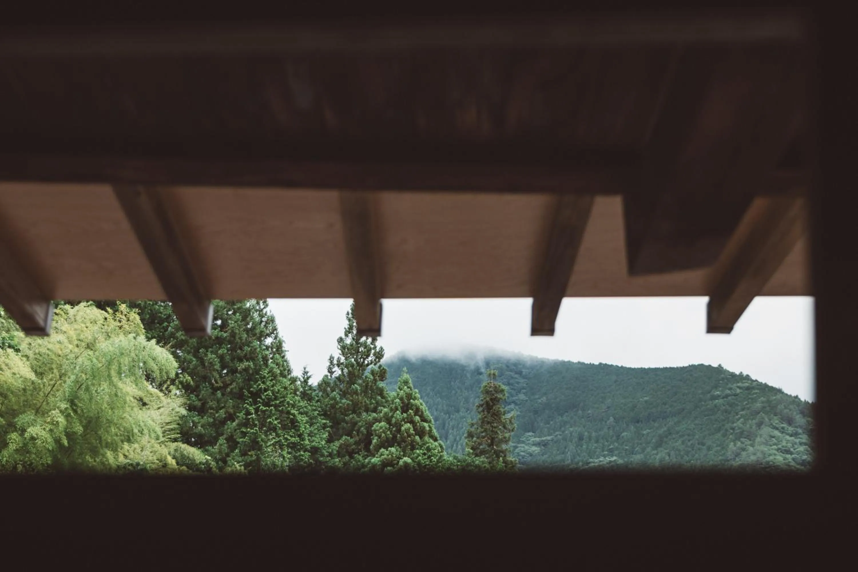 Mountain view in NIPPONIA Kosuge Village