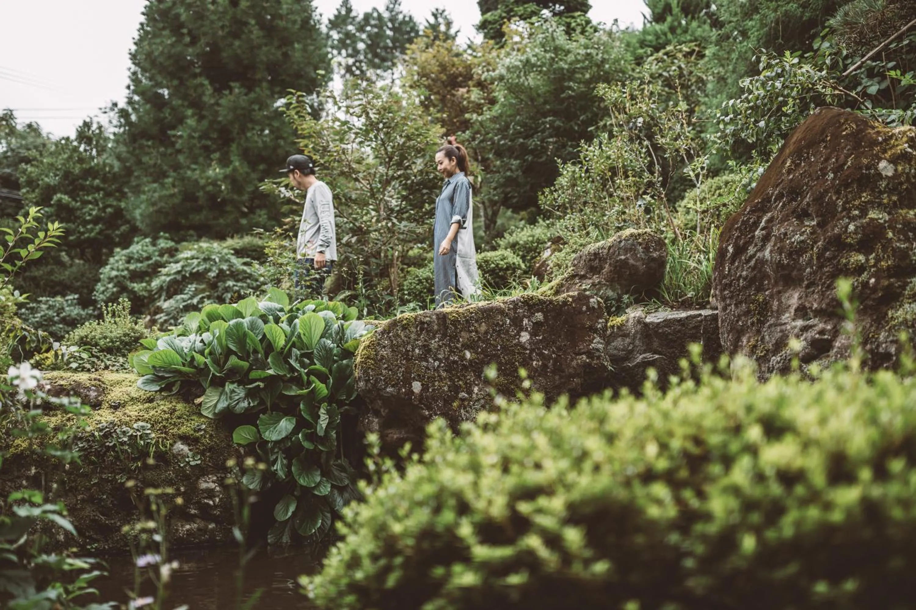Garden in NIPPONIA Kosuge Village