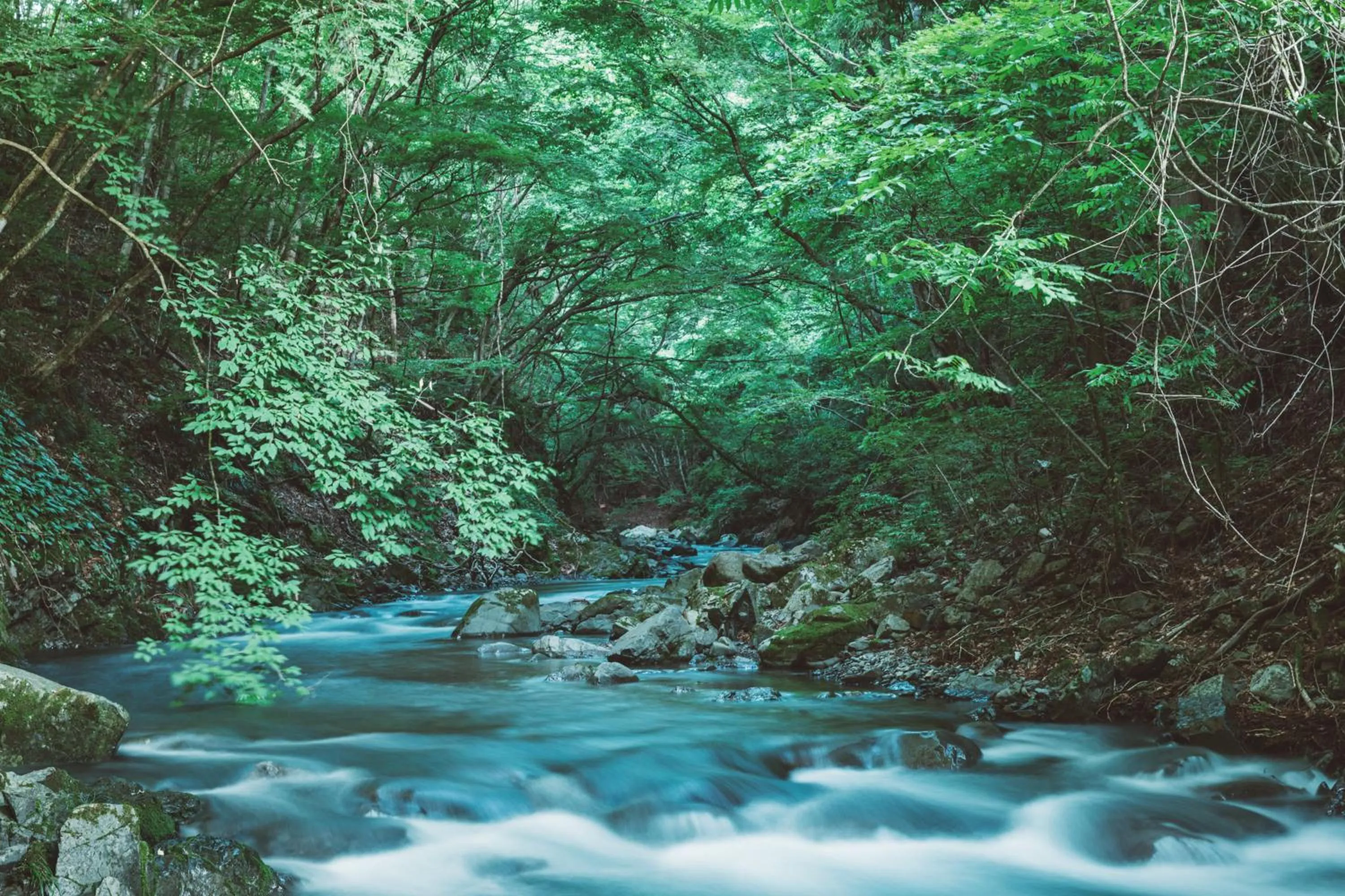 Off site in NIPPONIA Kosuge Village