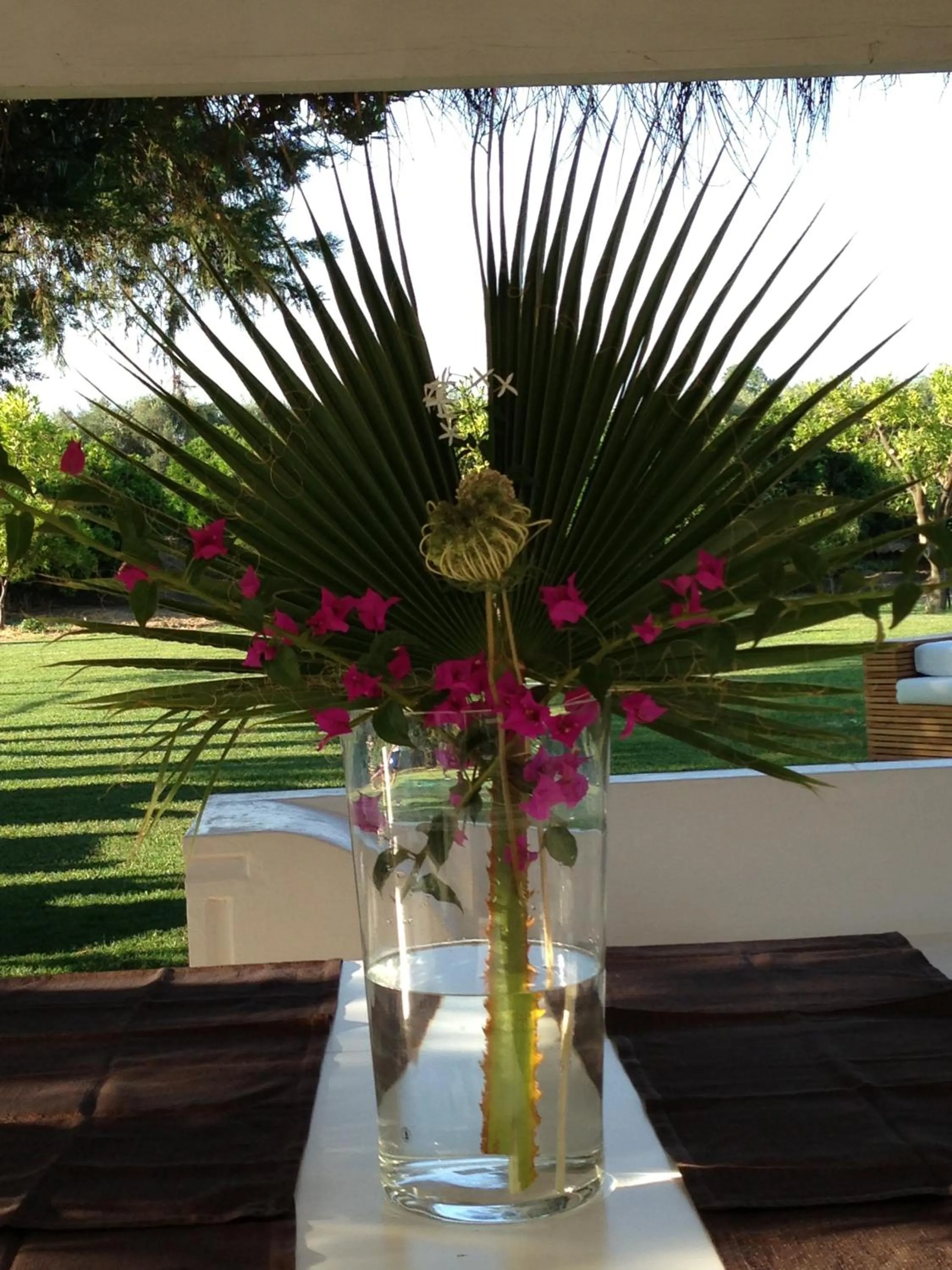 Garden in Casa Solares