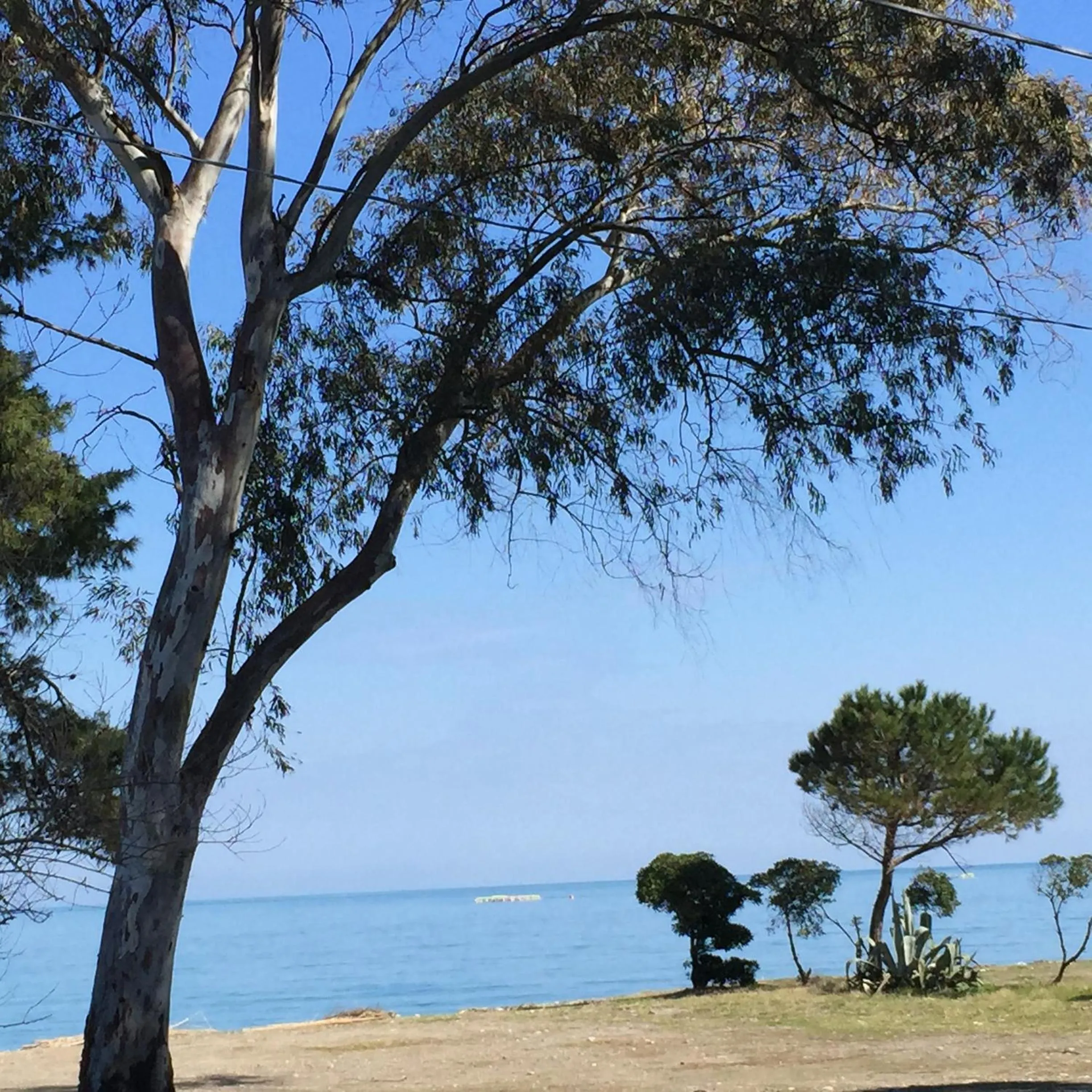 Beach in Casa Solares