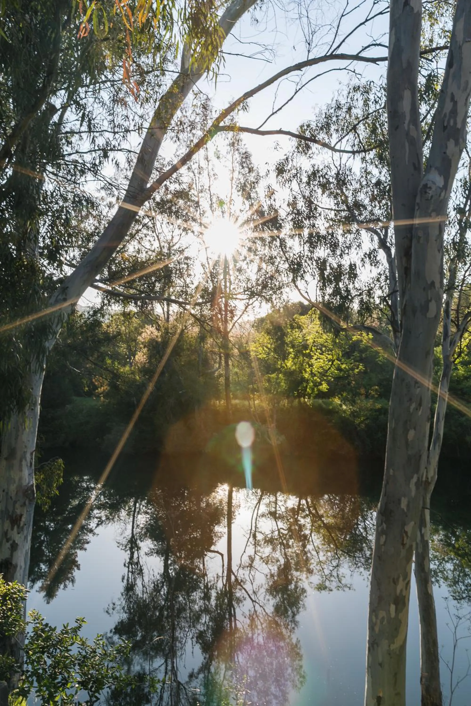 View (from property/room) in River Terrace Inn, a Noble House Hotel