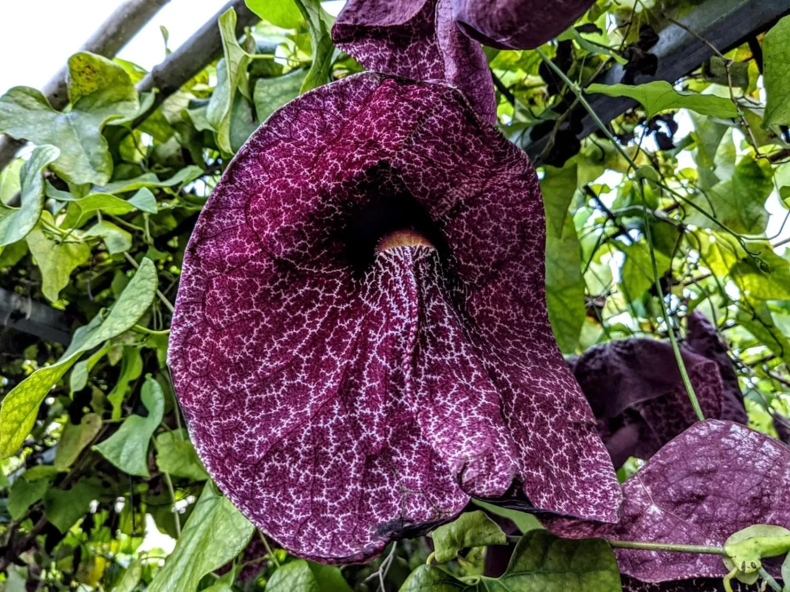 Day in B&B Al Salvatore Di Lipari