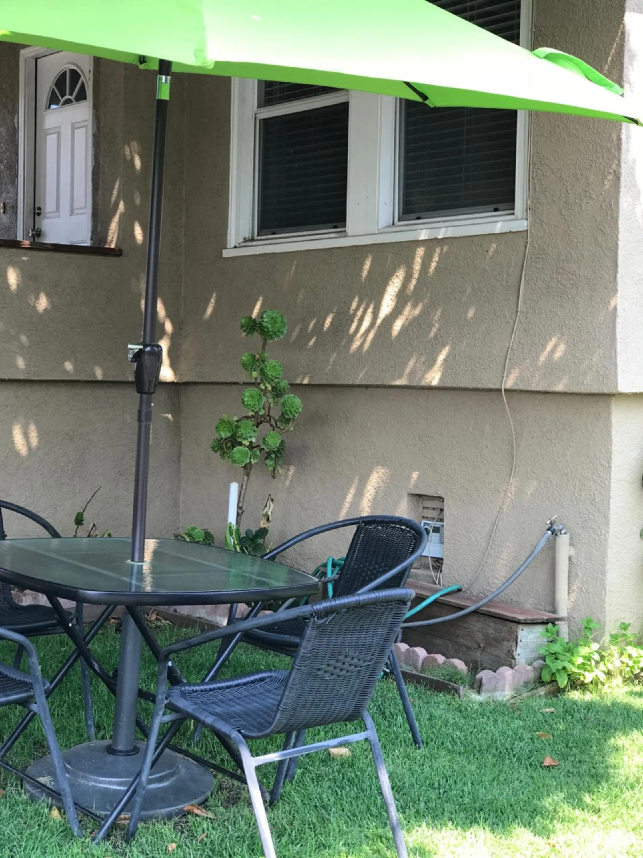 Garden in Napa Discovery Inn