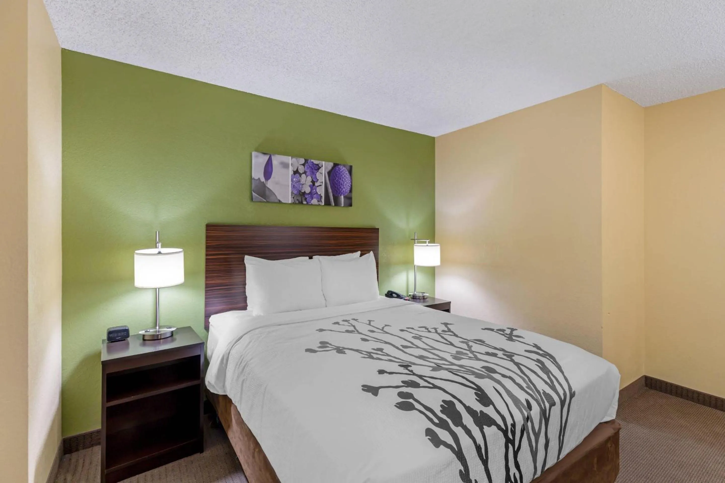 Bed in Sleep Inn Denver Tech Center