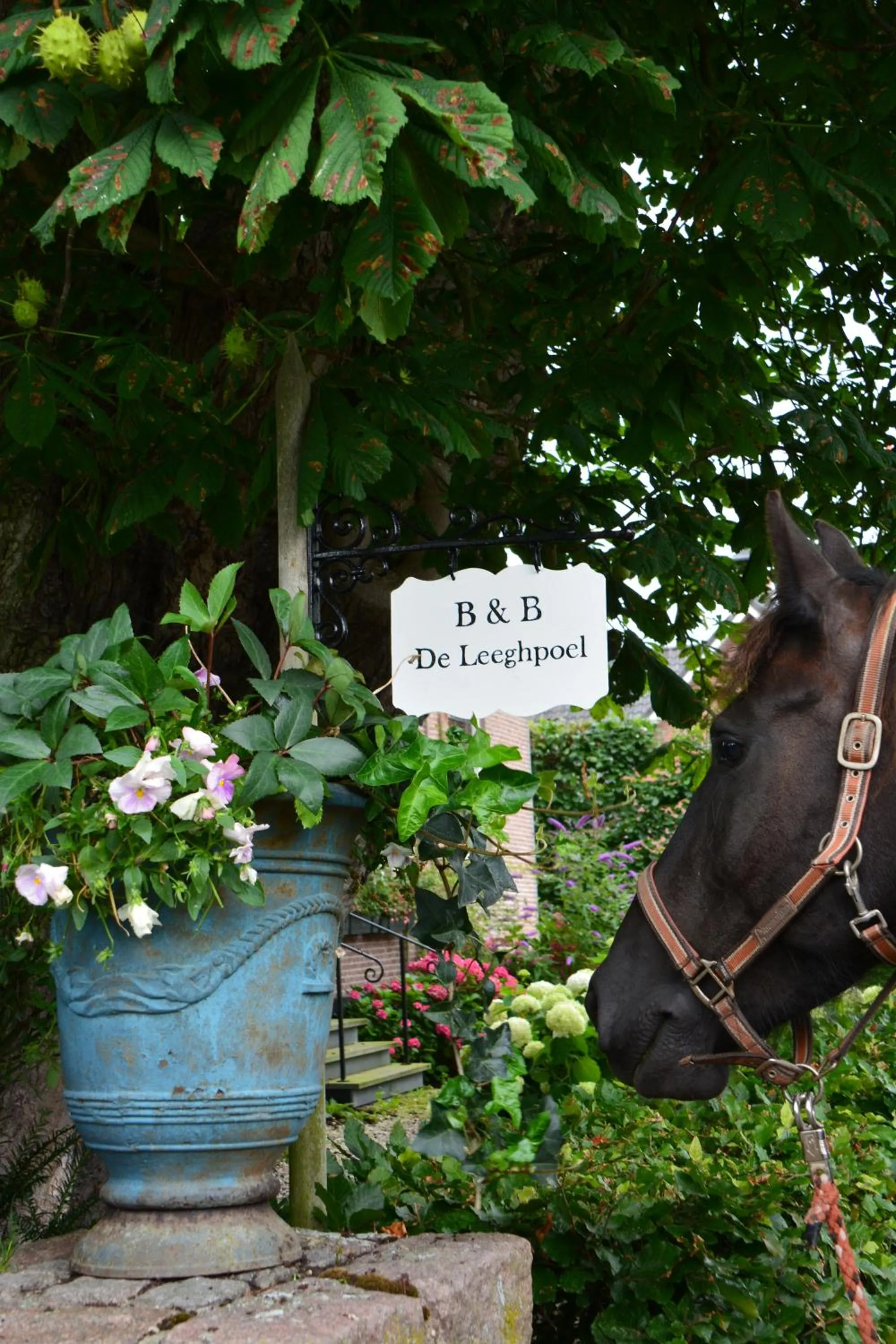 B&B De Leeghpoel