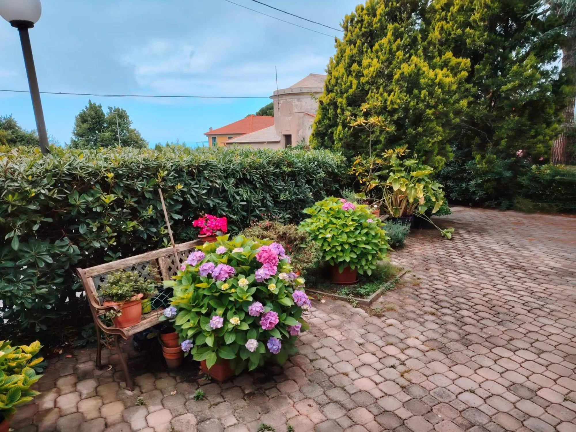 Garden in Hotel Silvia Framura - Cinque Terre