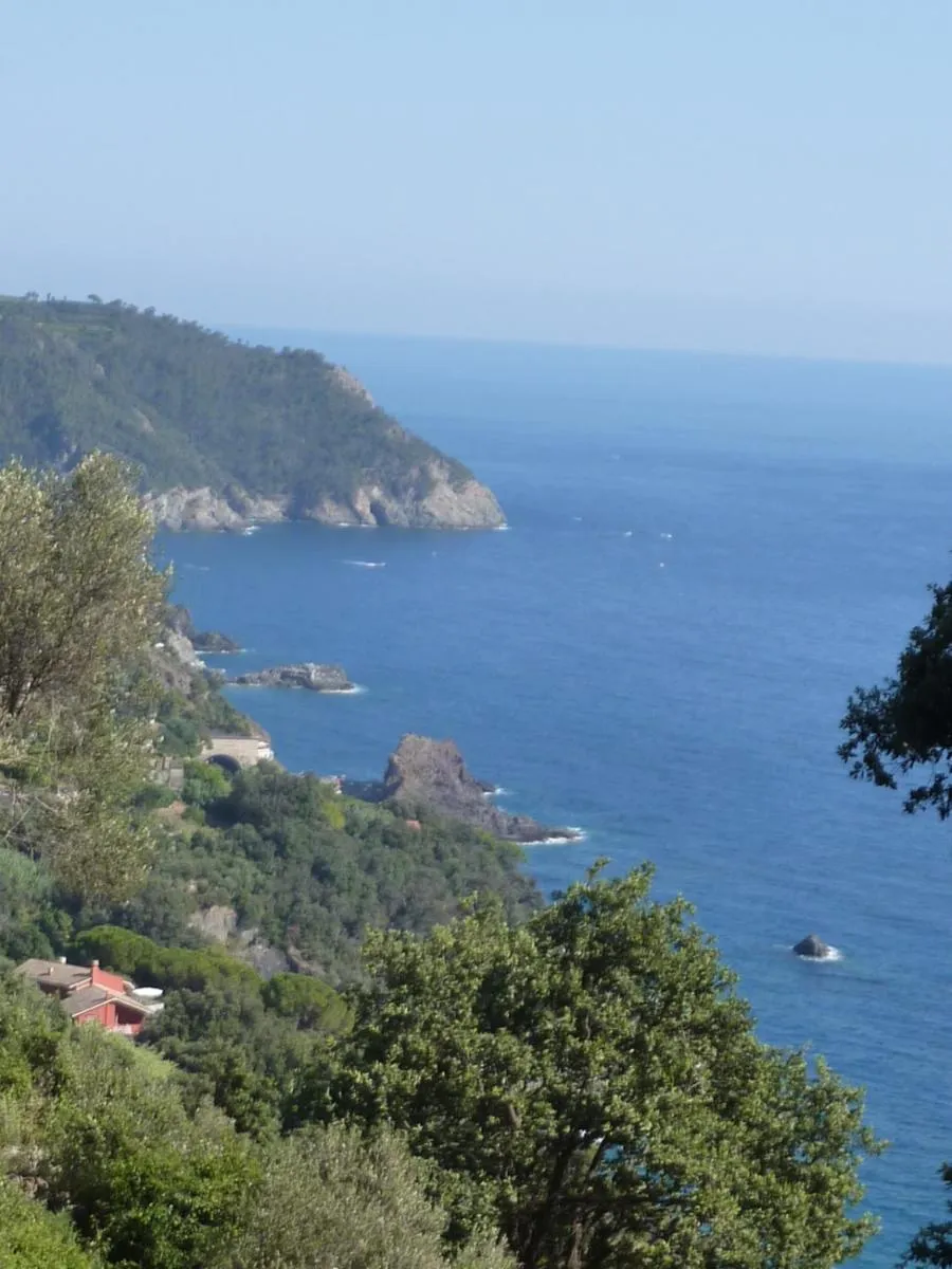 Natural landscape in Hotel Silvia Framura - Cinque Terre