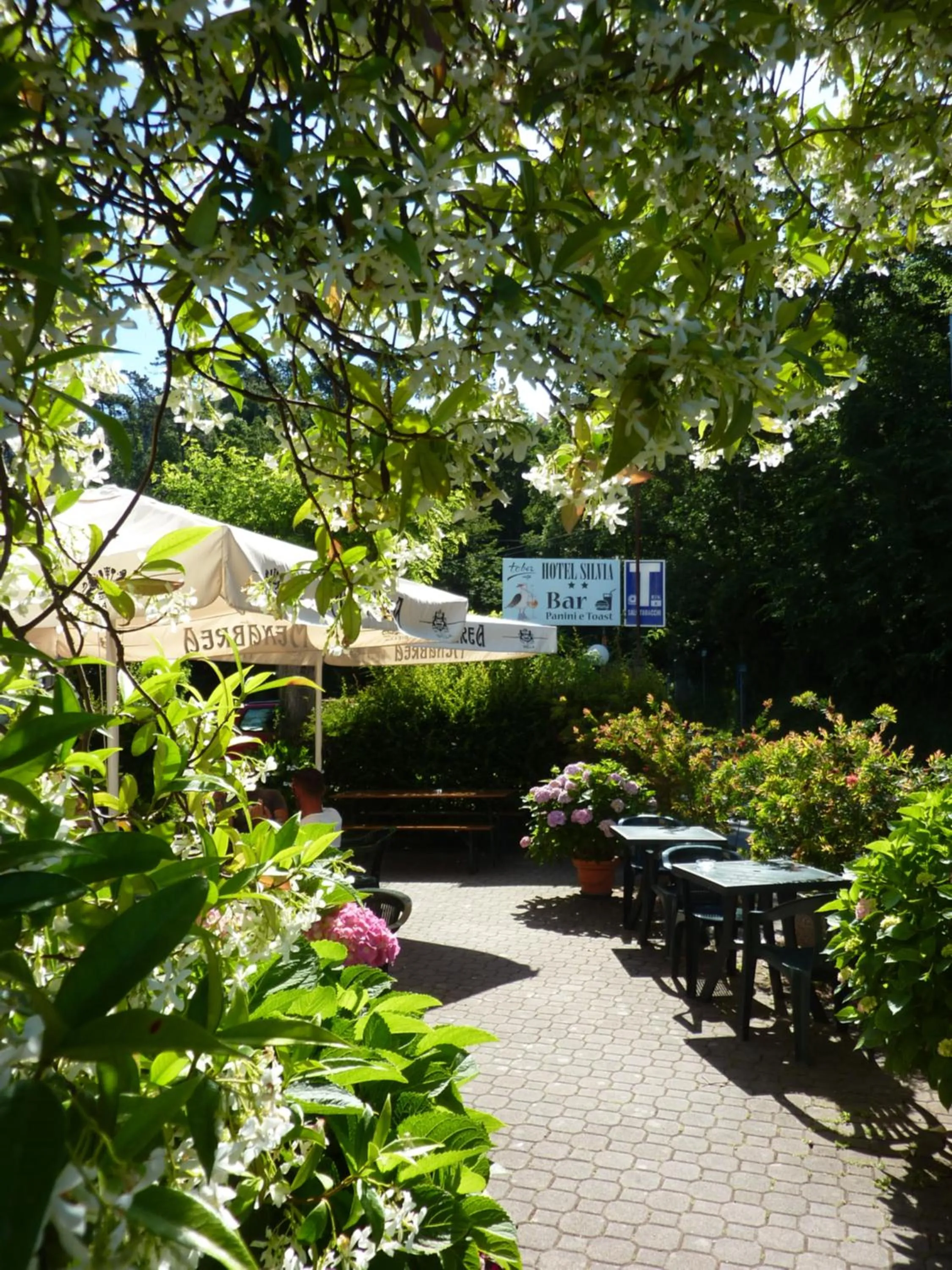 Garden view in Hotel Silvia Framura - Cinque Terre