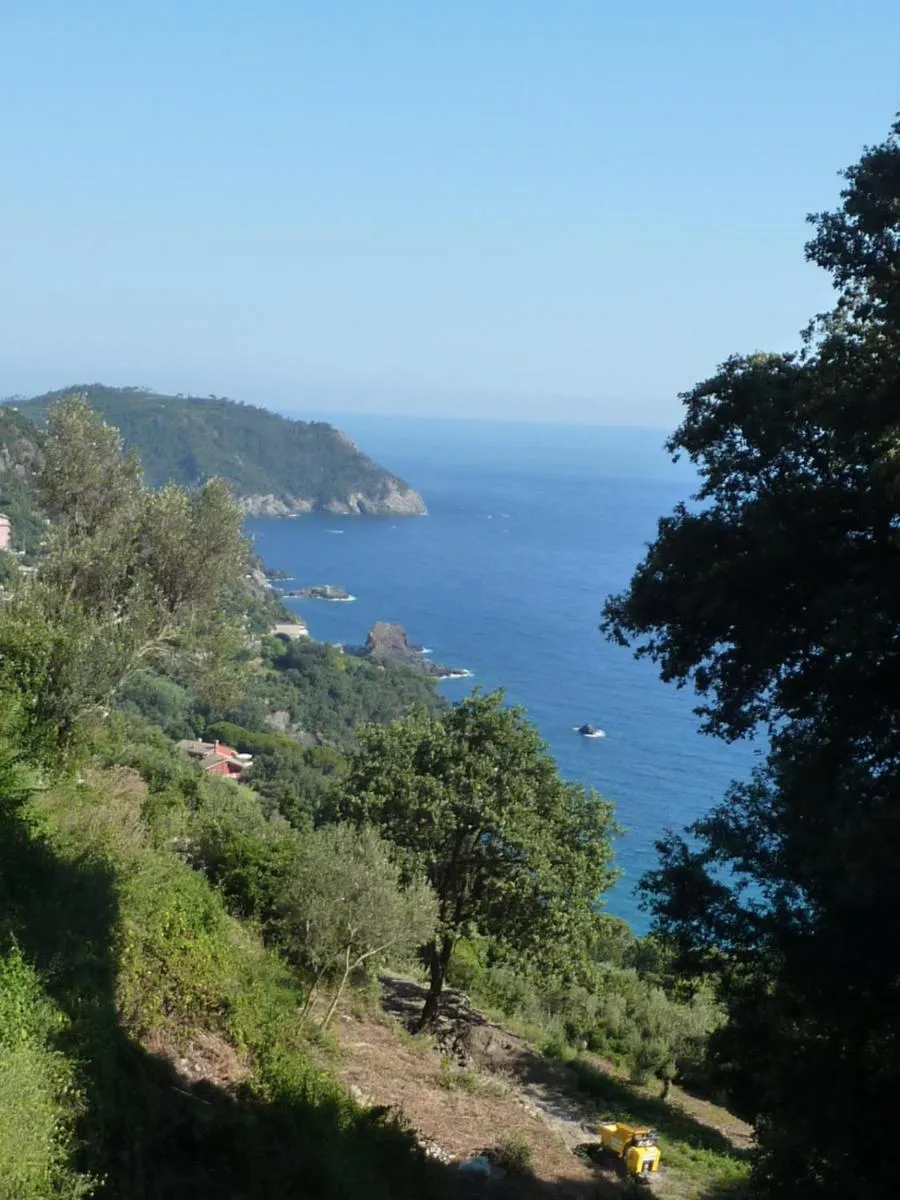 Natural landscape in Hotel Silvia Framura - Cinque Terre