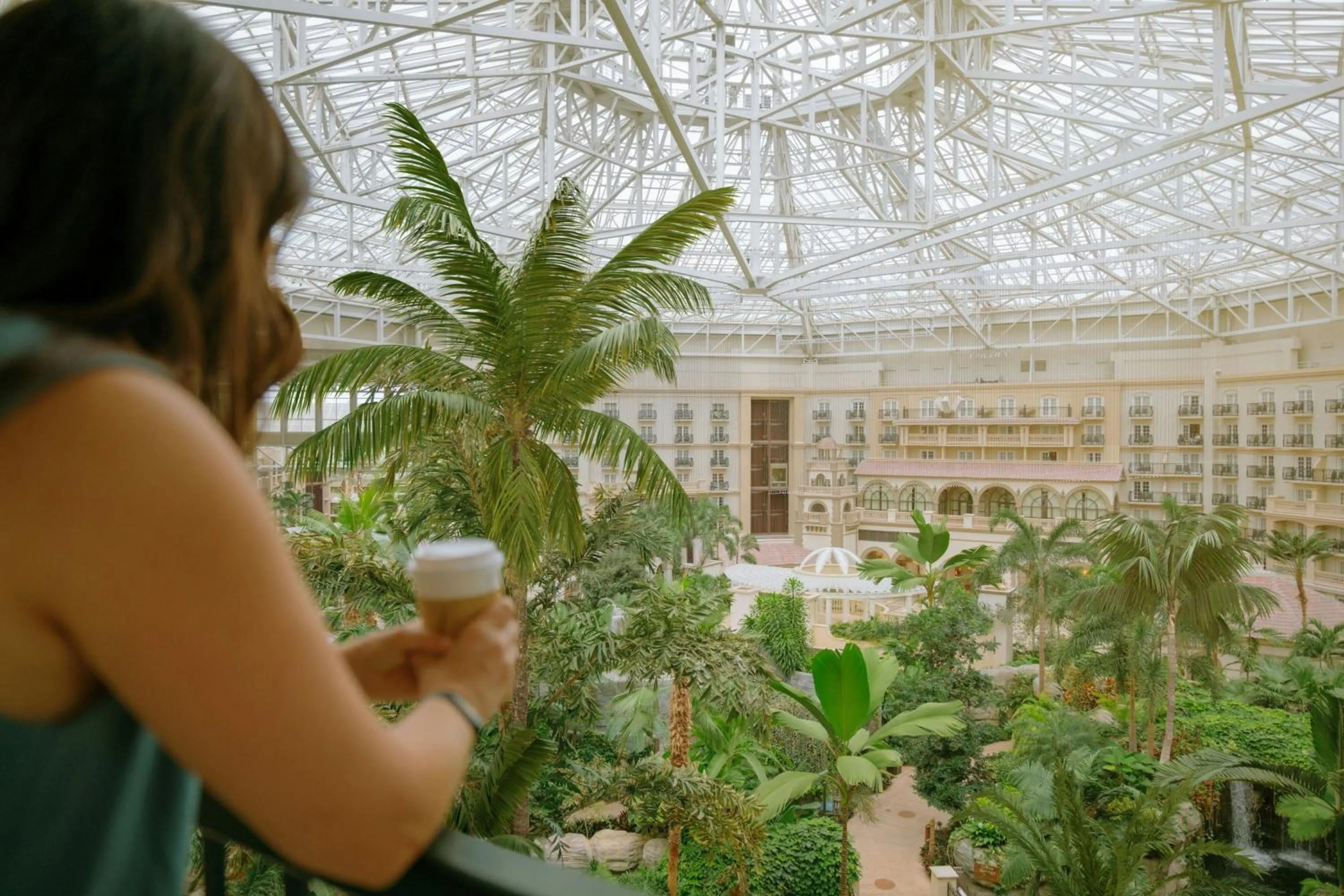 Photo of the whole room in Gaylord Palms Resort & Convention Center