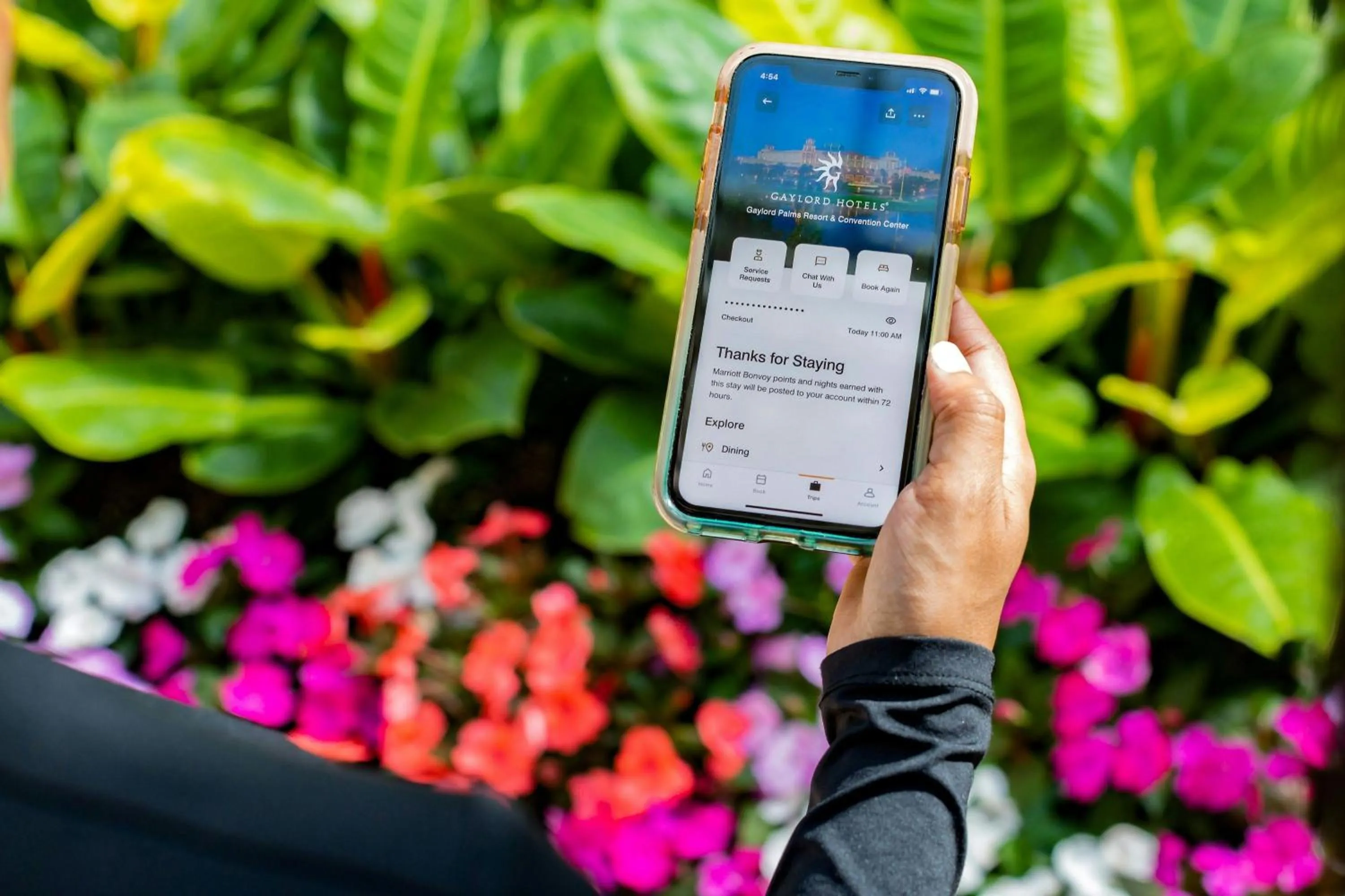 Other in Gaylord Palms Resort & Convention Center