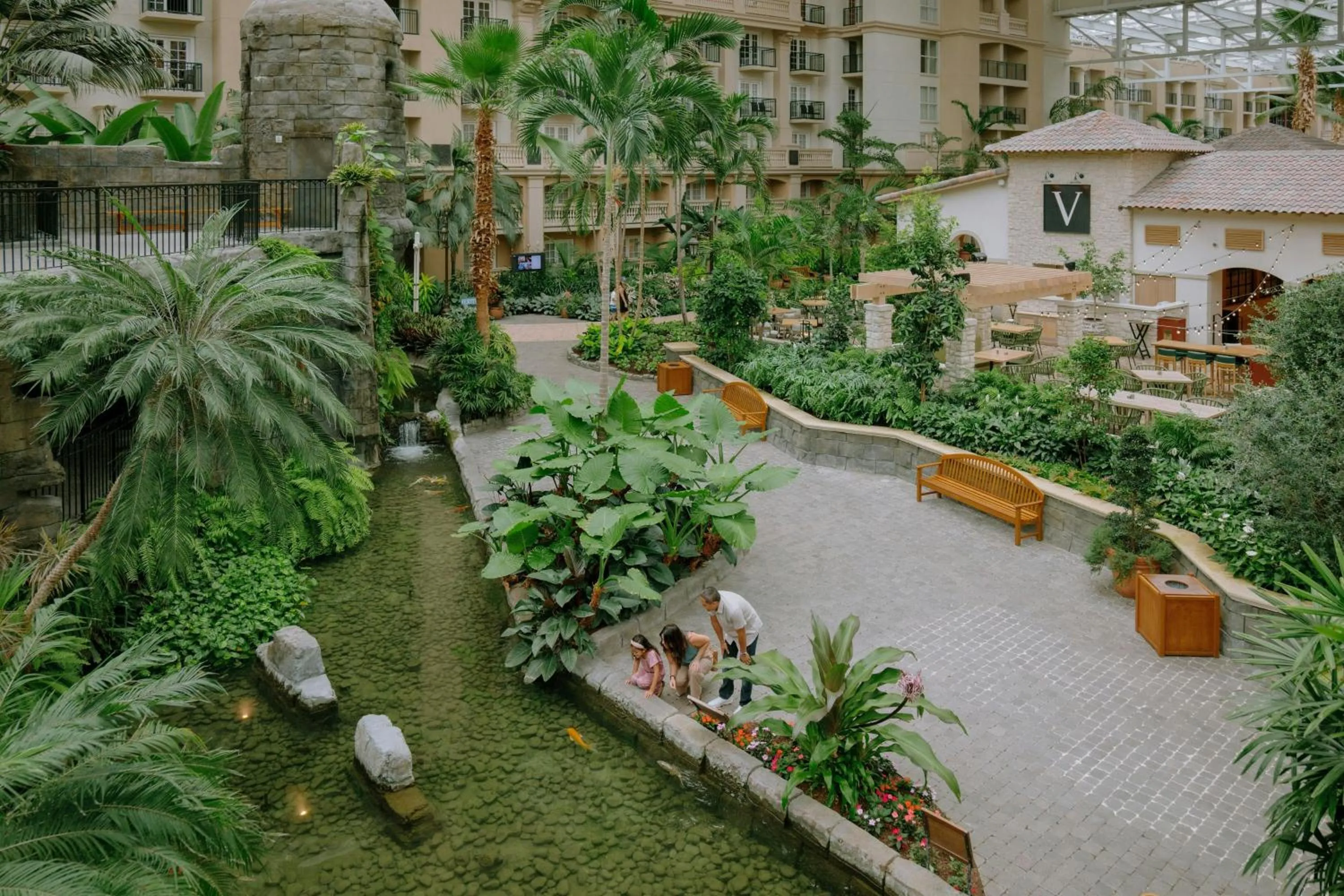 View (from property/room) in Gaylord Palms Resort & Convention Center