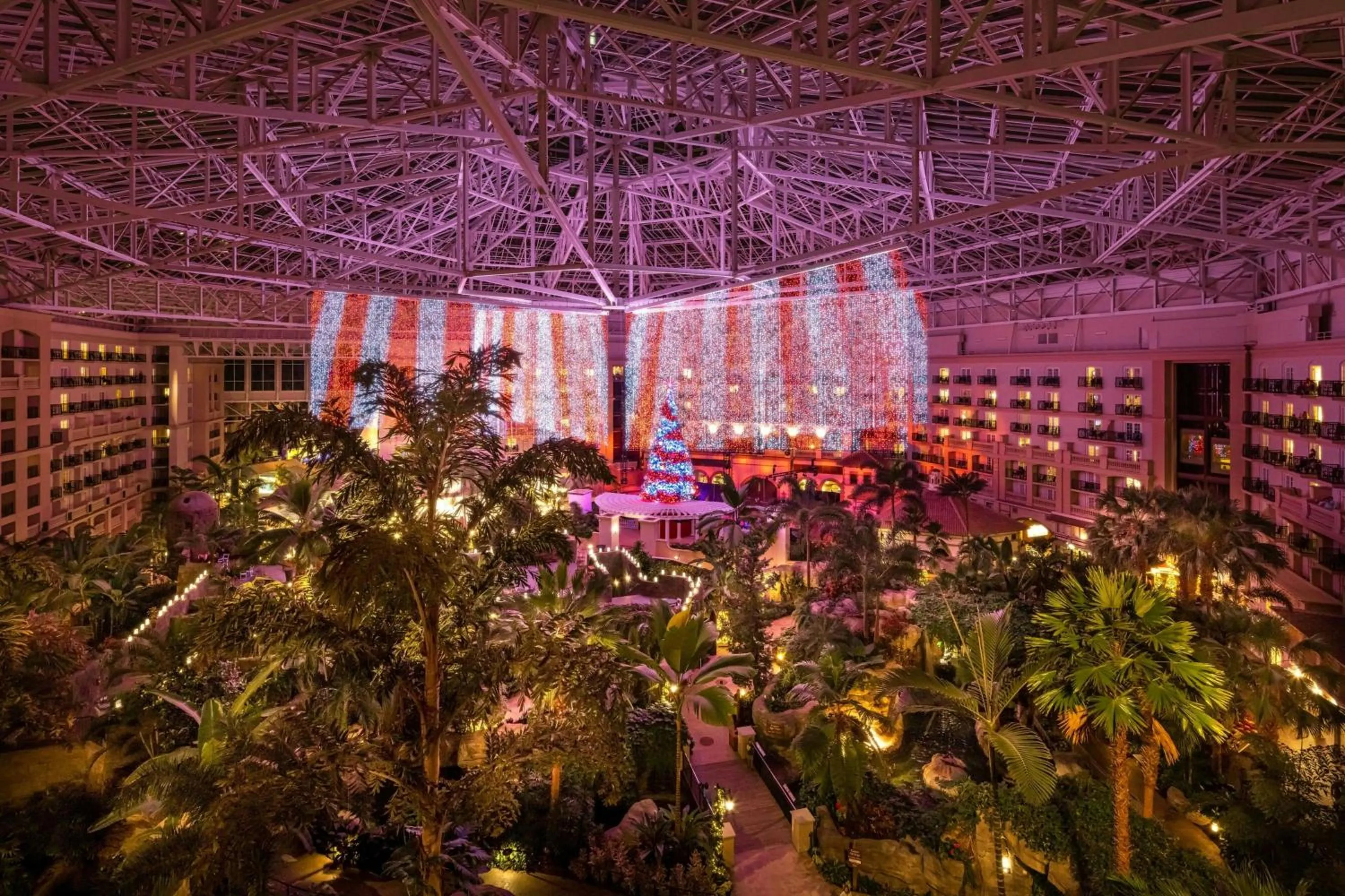 Other in Gaylord Palms Resort & Convention Center