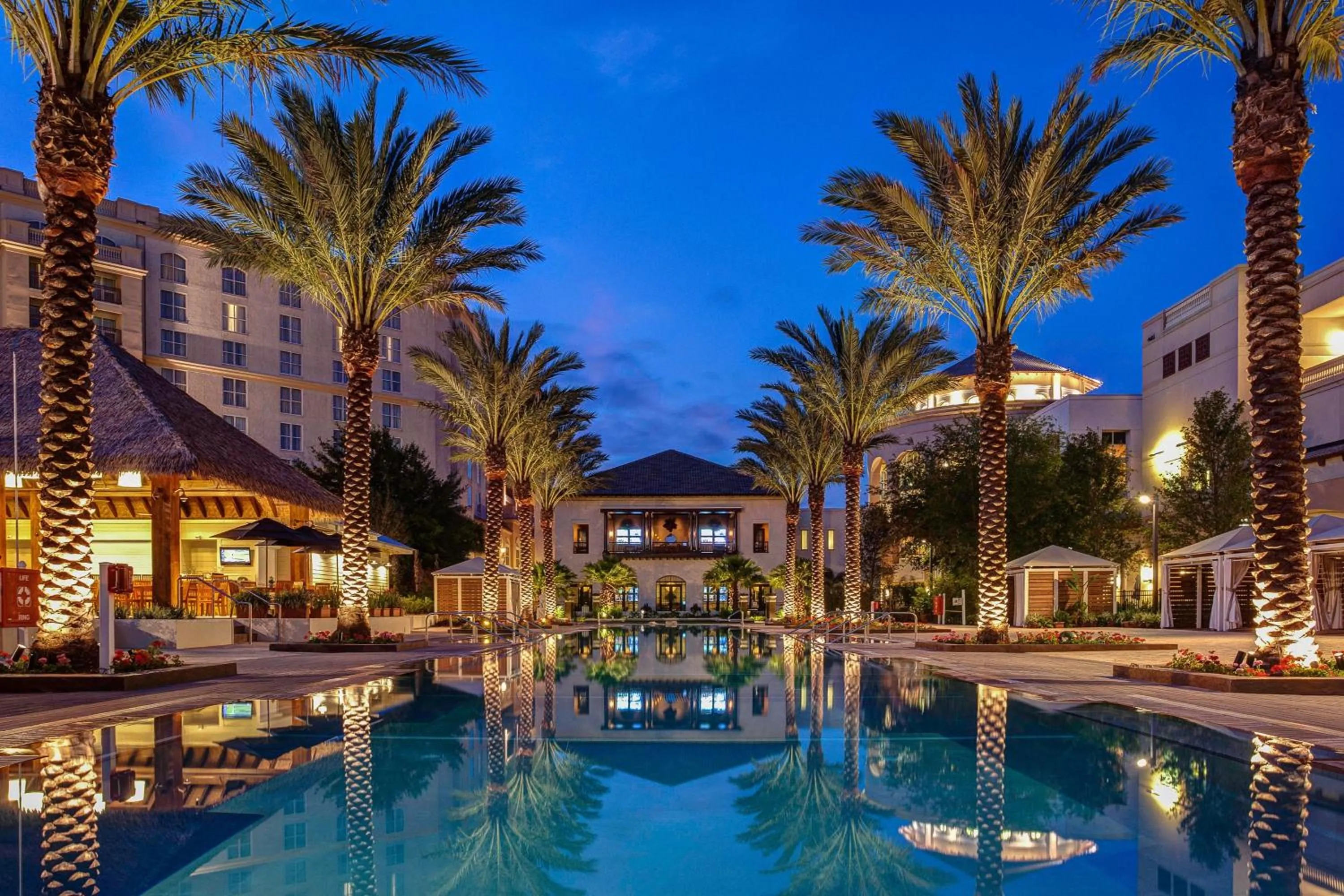 Swimming pool in Gaylord Palms Resort & Convention Center