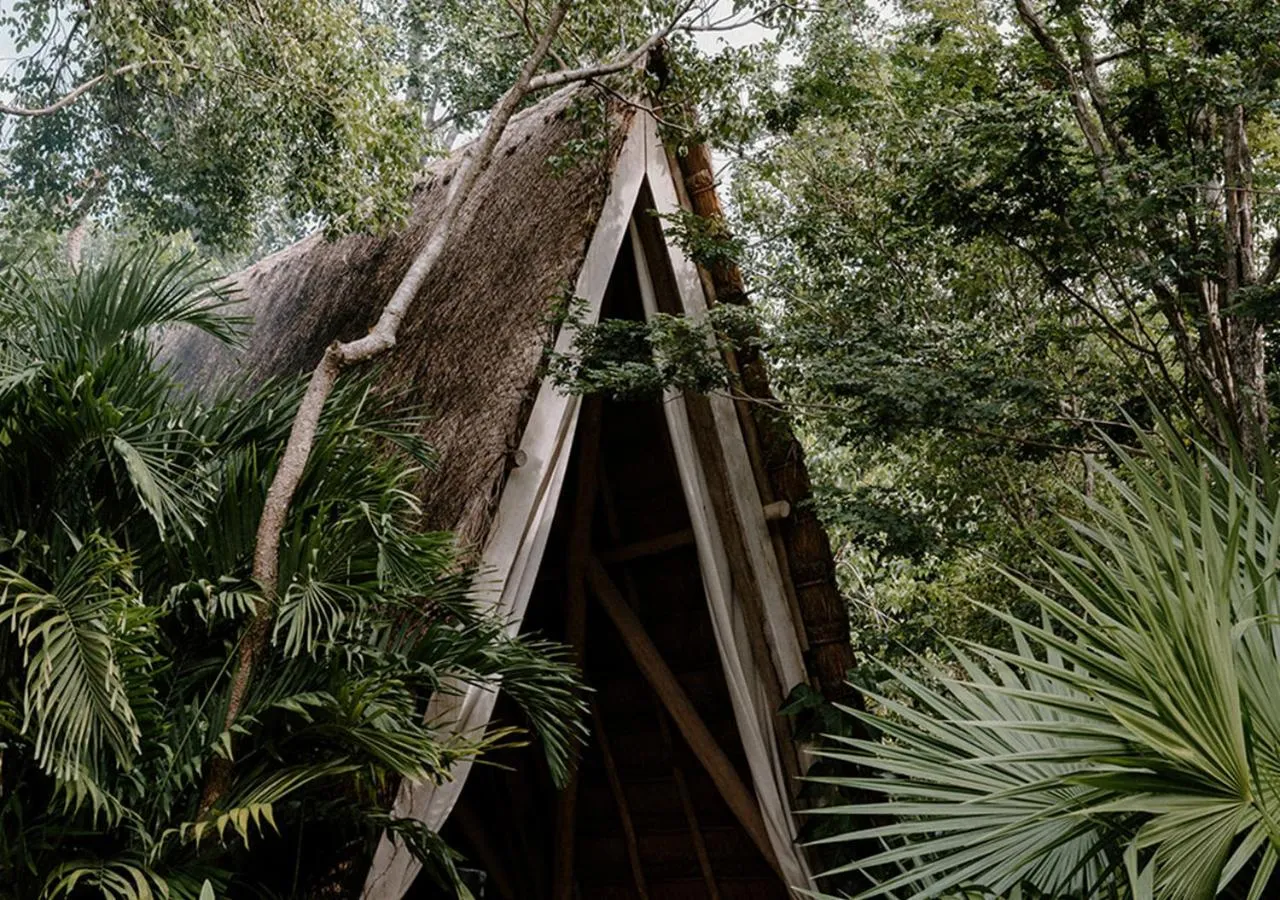 Spa and wellness centre/facilities in Hotel Bardo - Adults Only