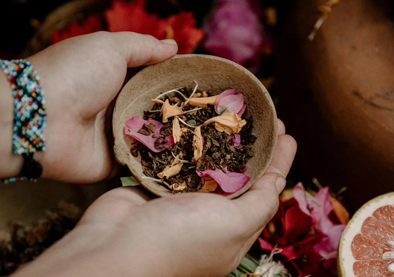 Spa and wellness centre/facilities in Hotel Bardo - Adults Only