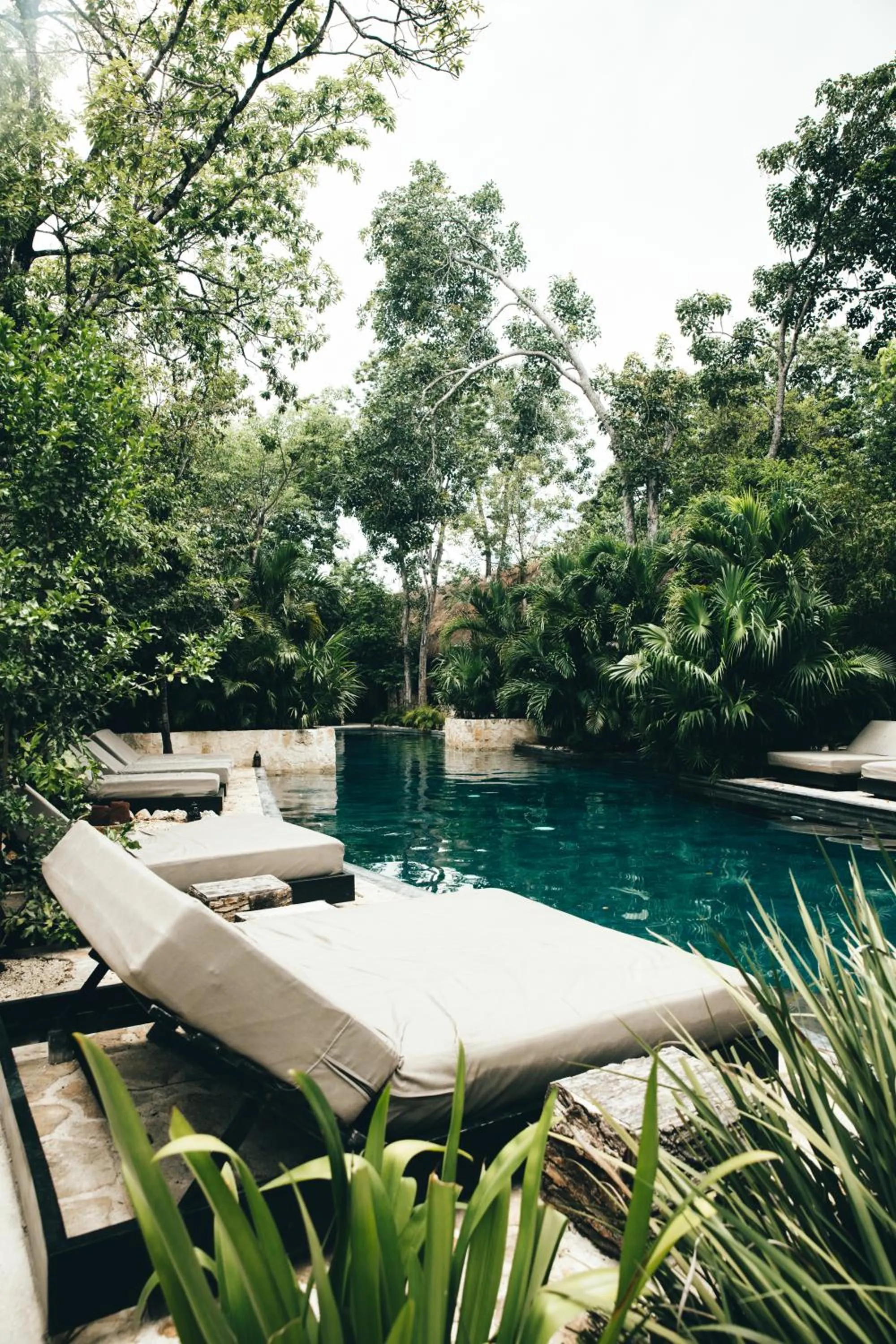 Pool view in Hotel Bardo - Adults Only