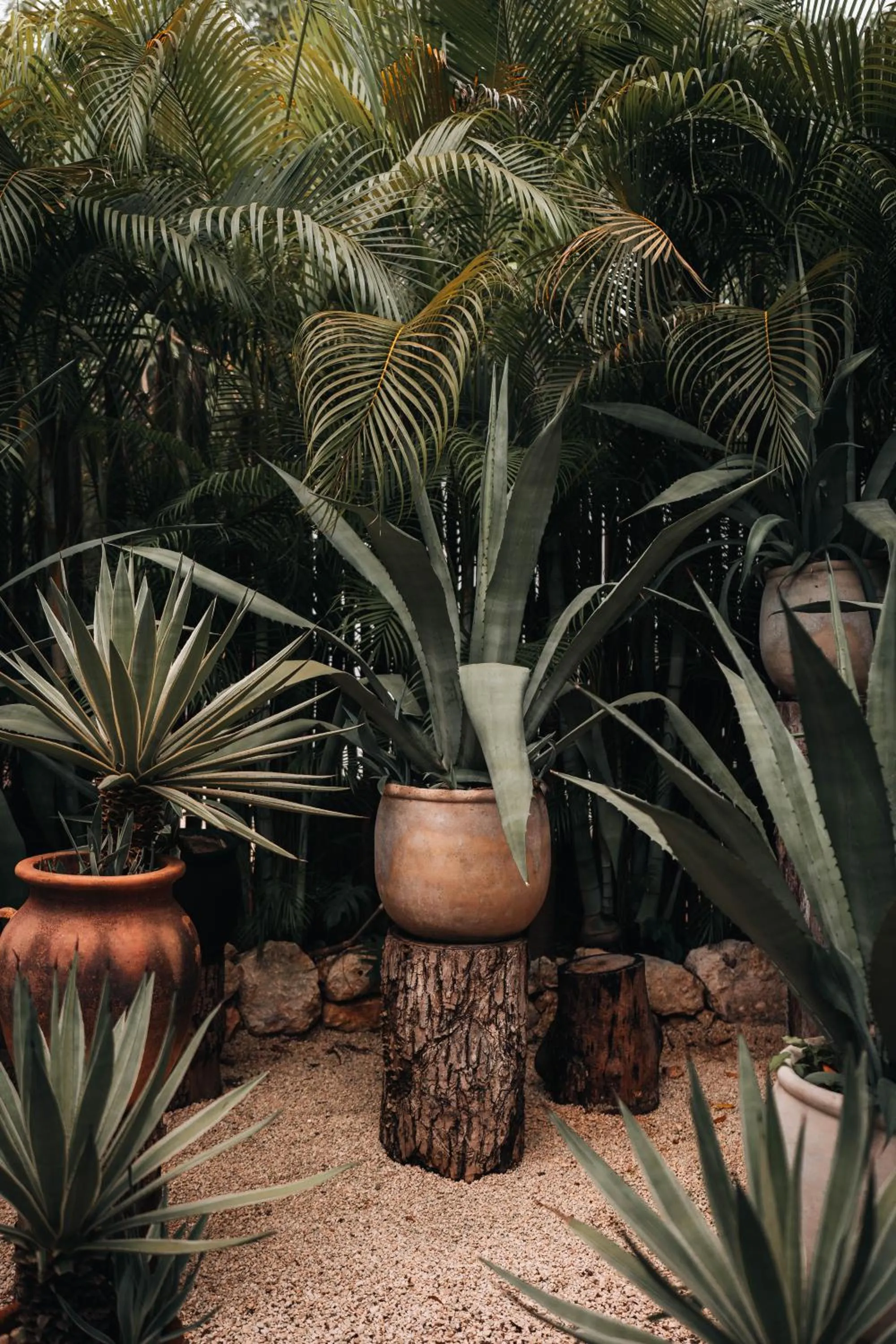 Garden view in Hotel Bardo - Adults Only